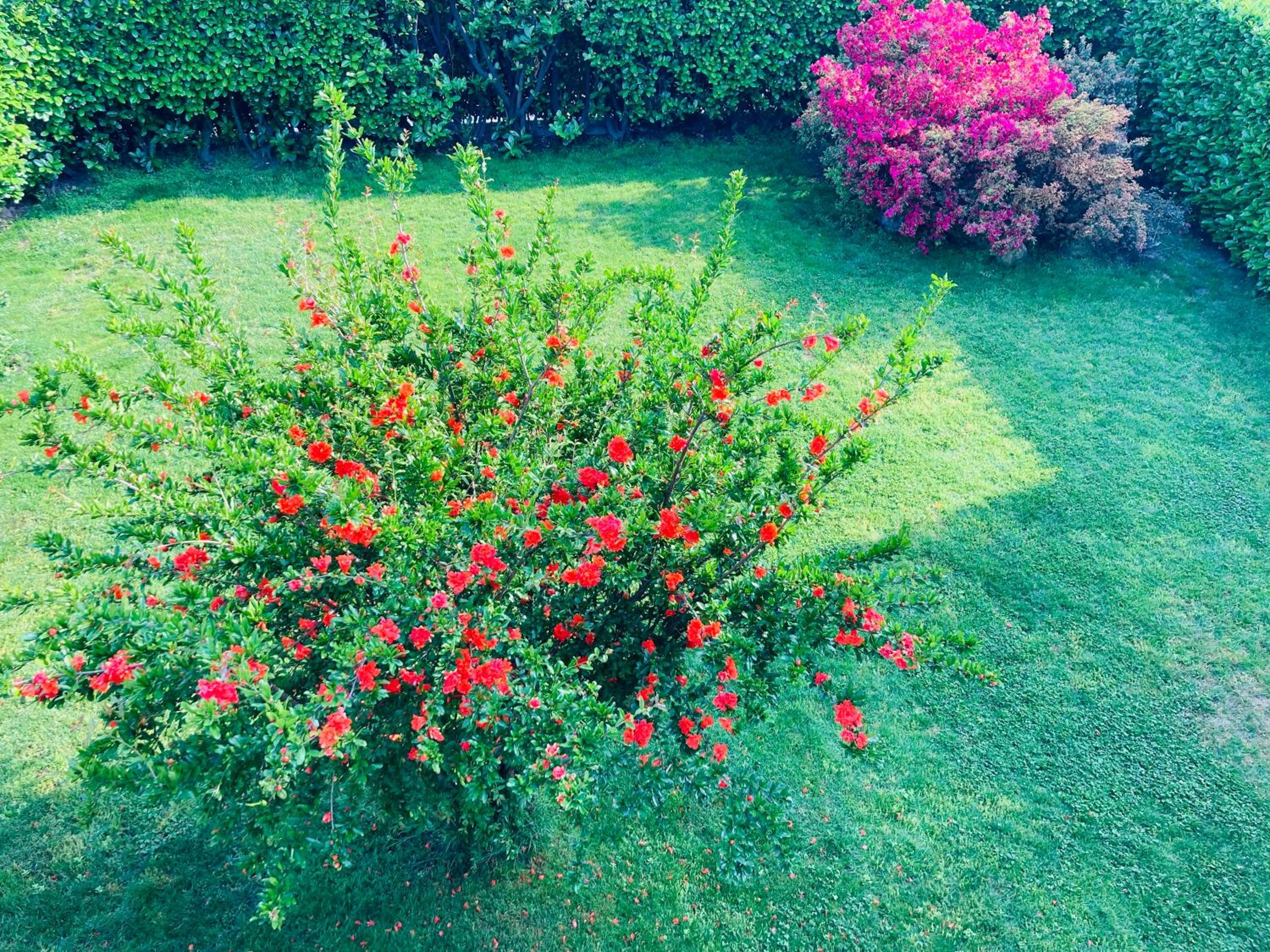 Photo 26