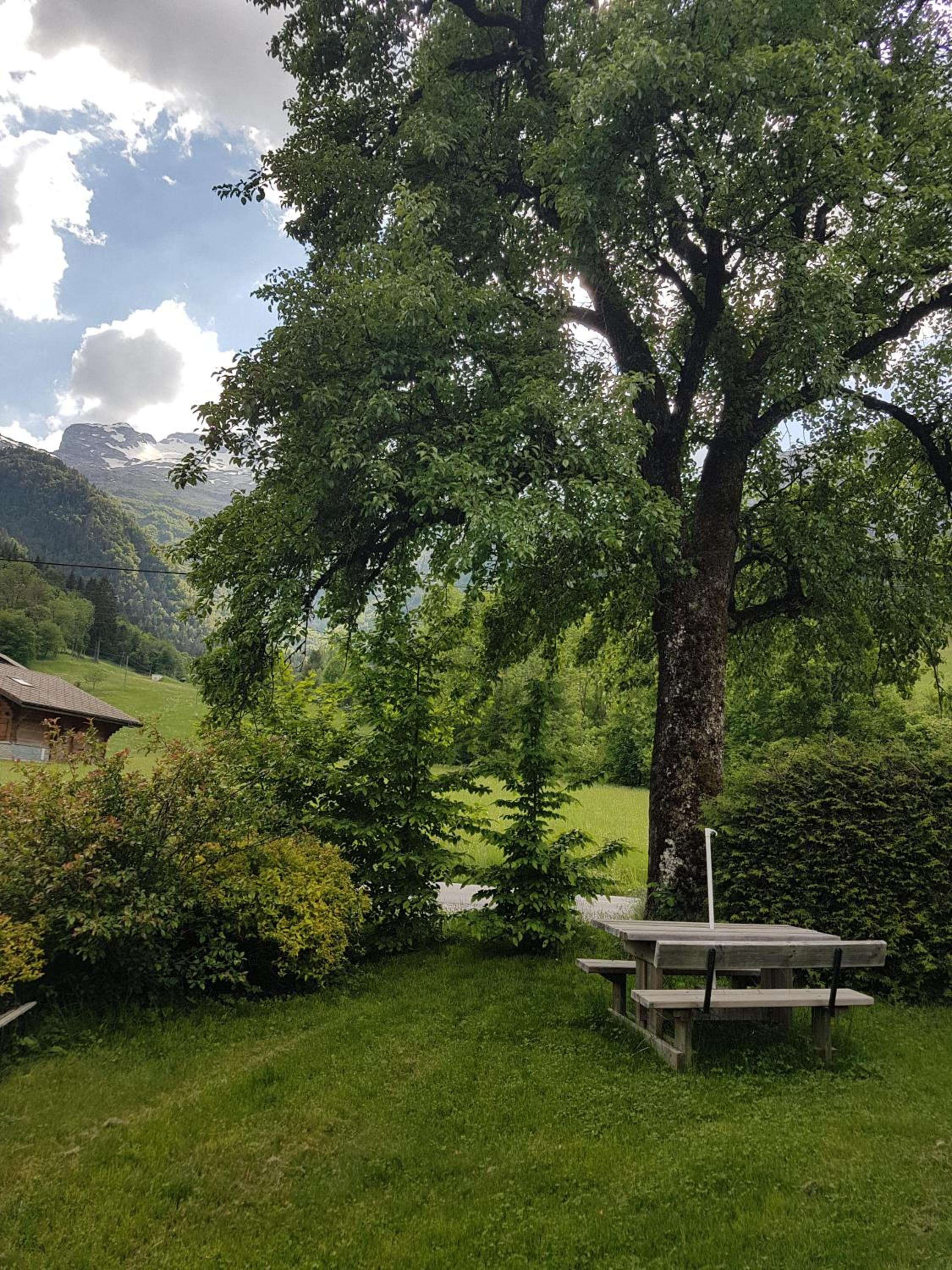 Chalet d'en Ô view 3