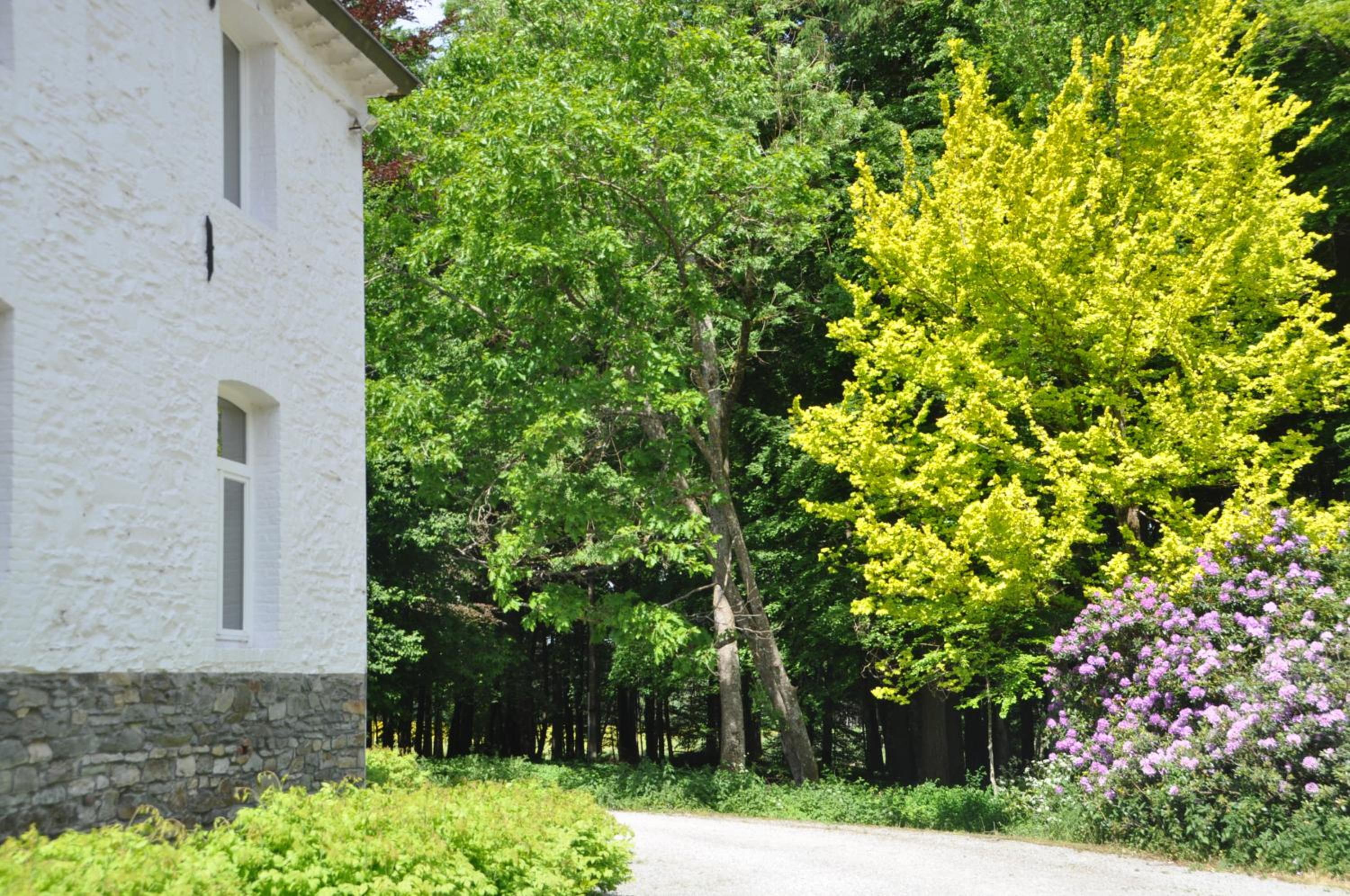 Petit château de Beauplateau
