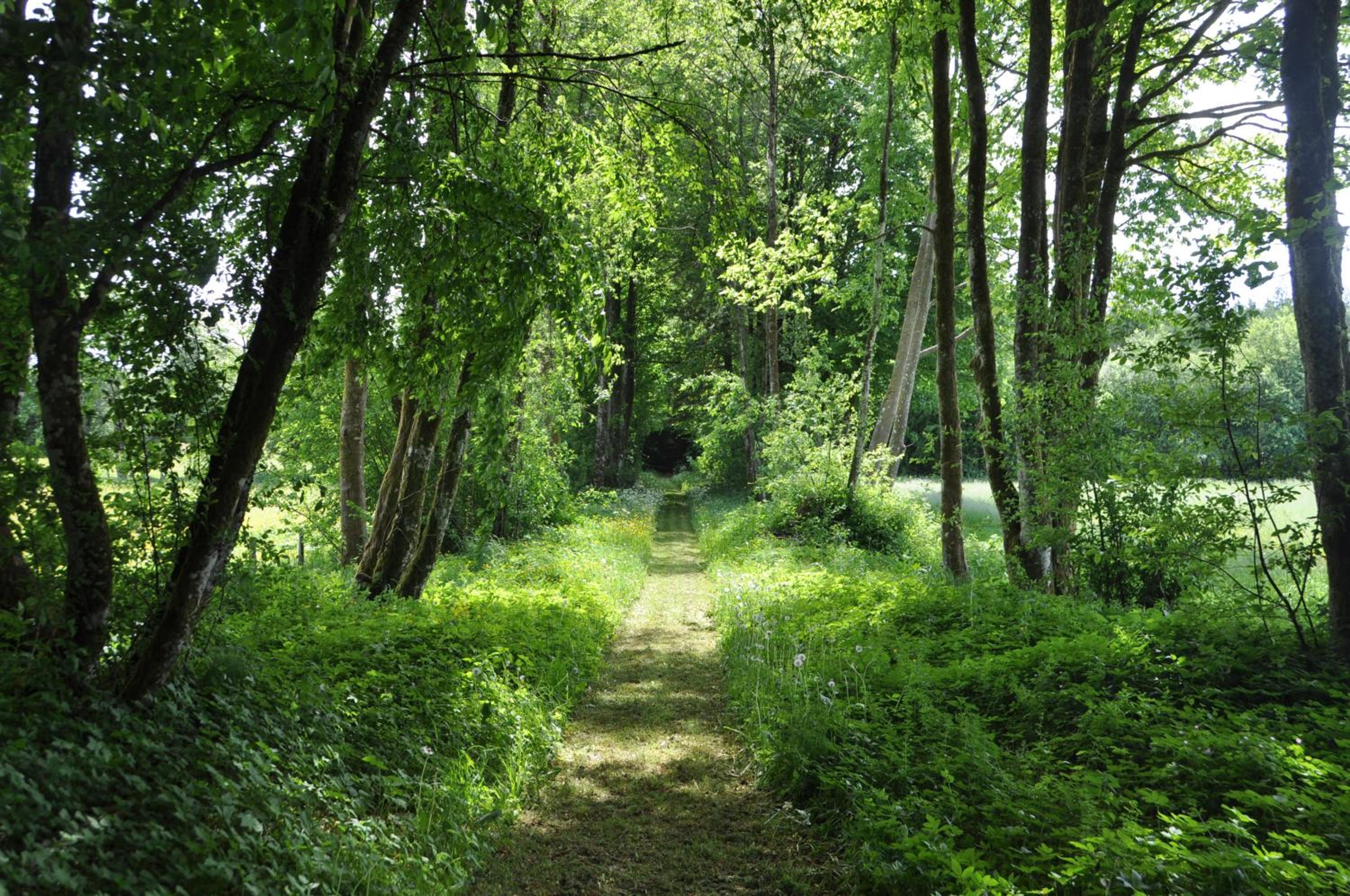 Petit château de Beauplateau