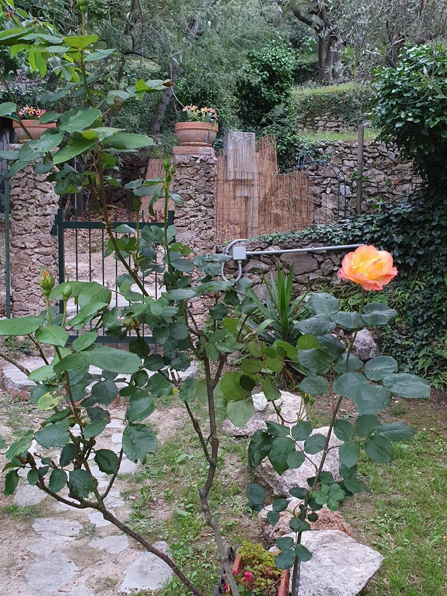 Photo 49