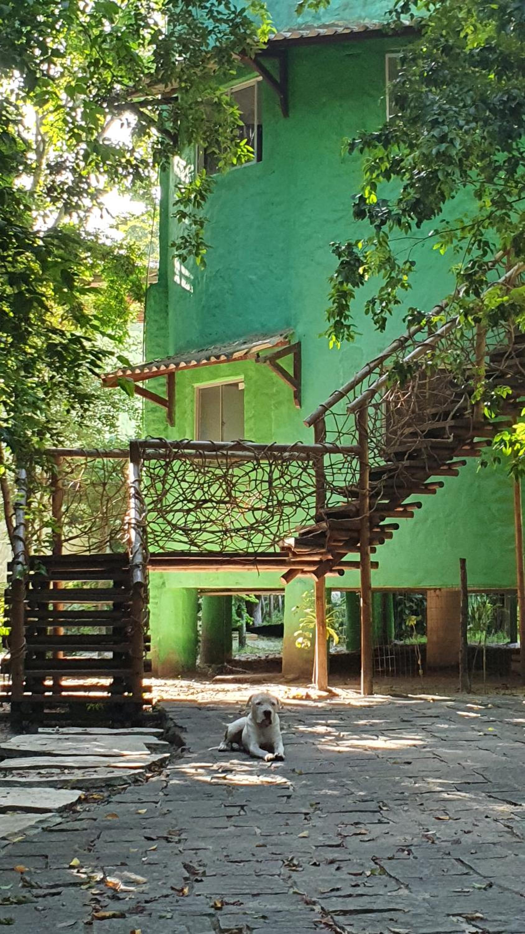Photo 7