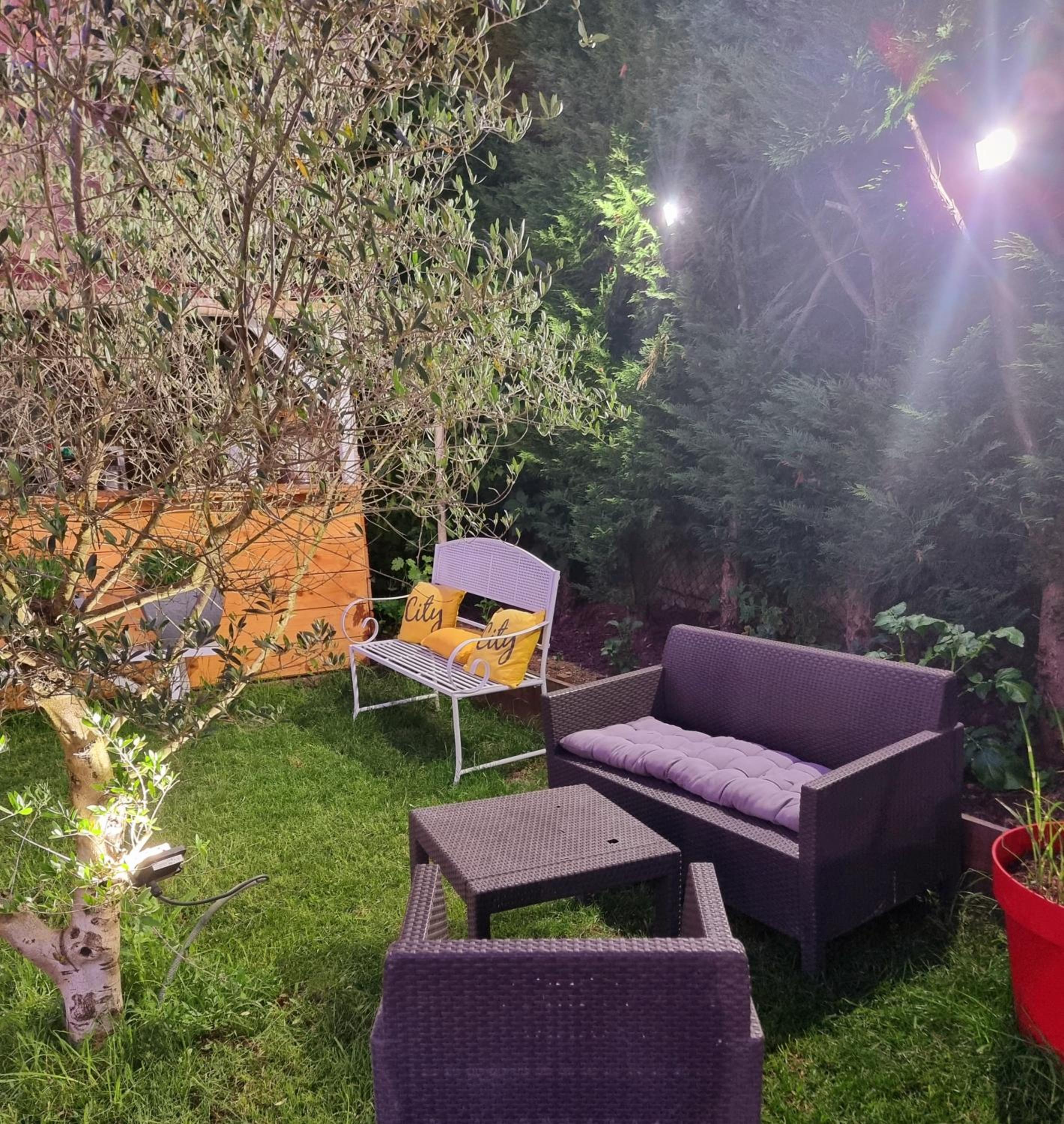 garden