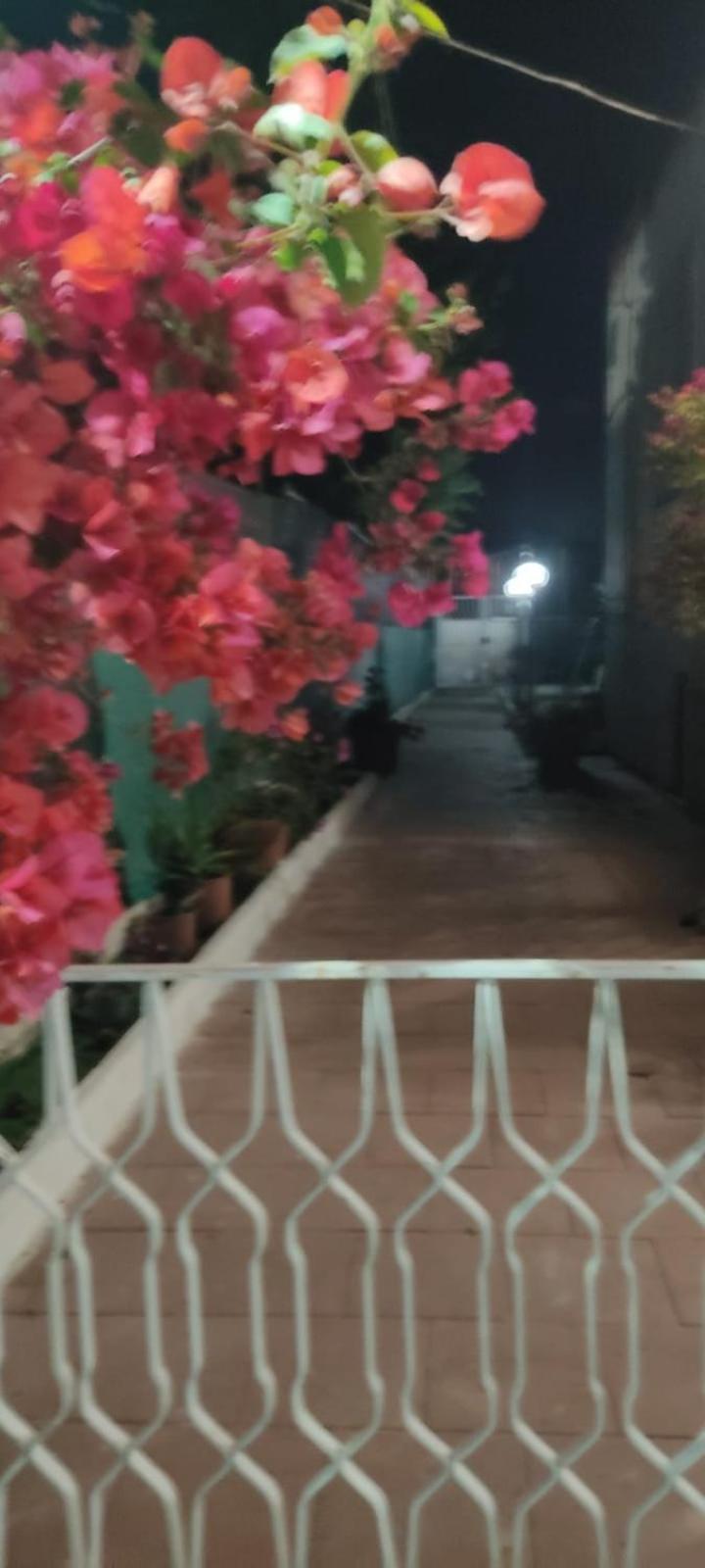 Photo 35