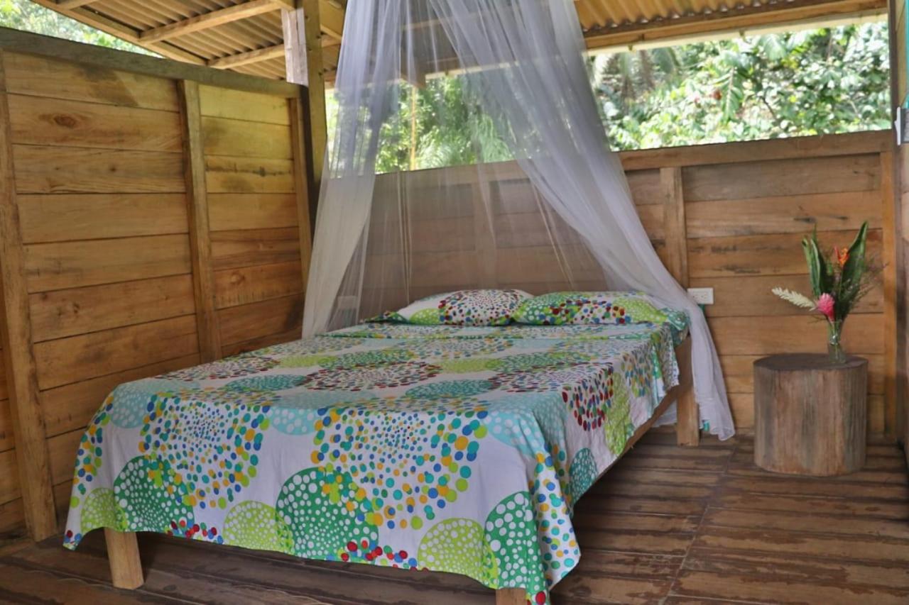 The Pelican House Hostel