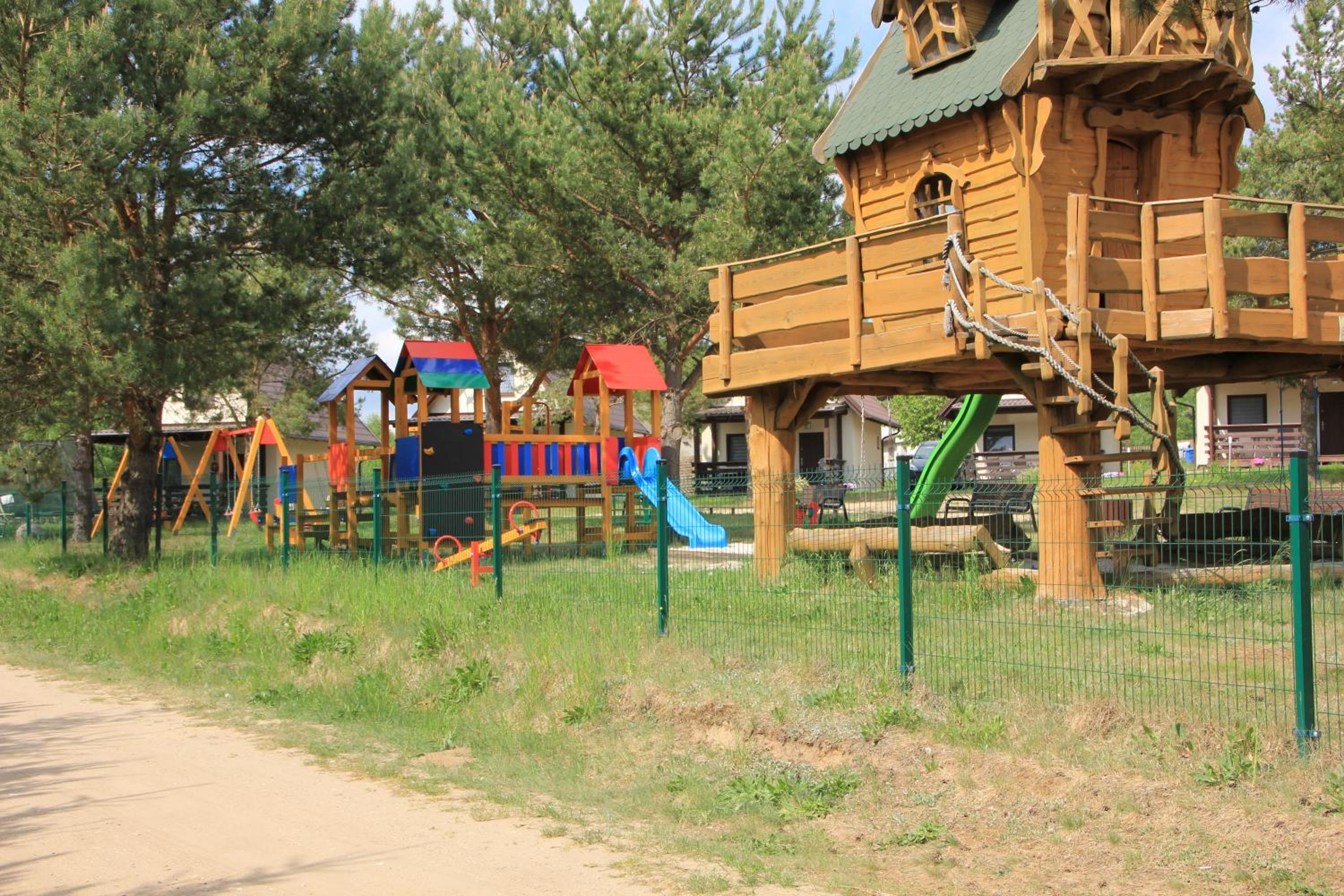 Photo 11