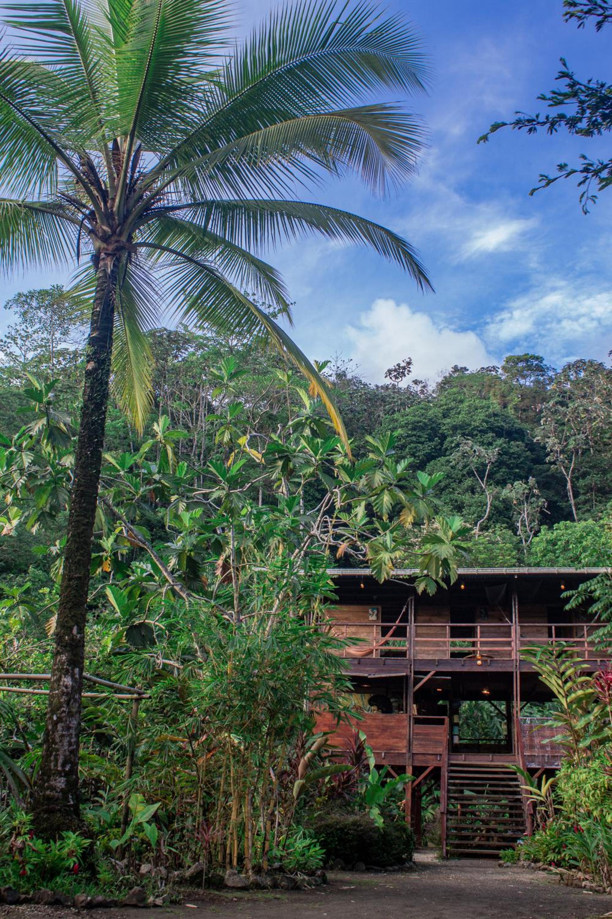 The Pelican House Hostel