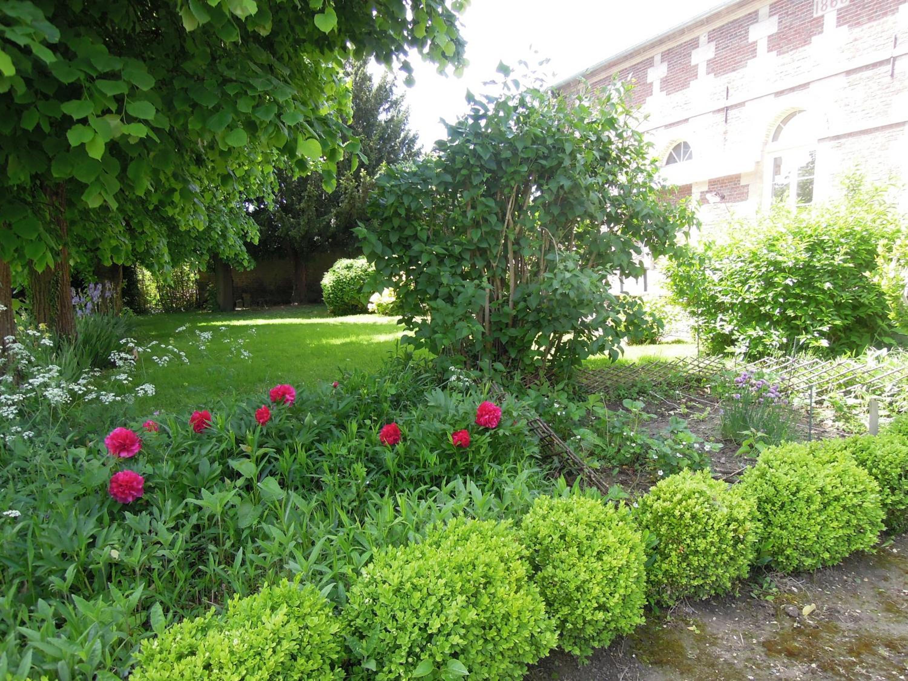 Photo 17