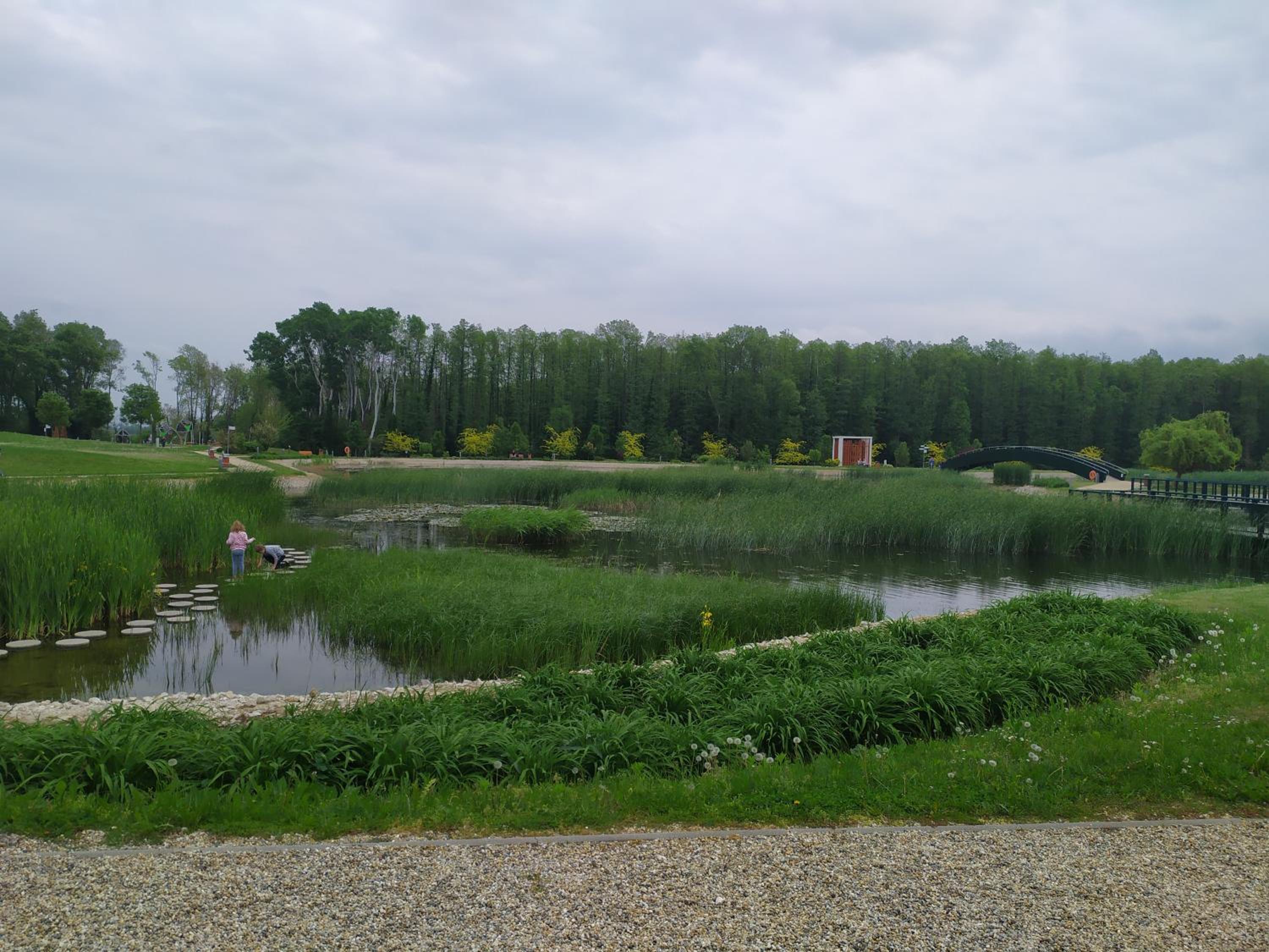 Photo 51