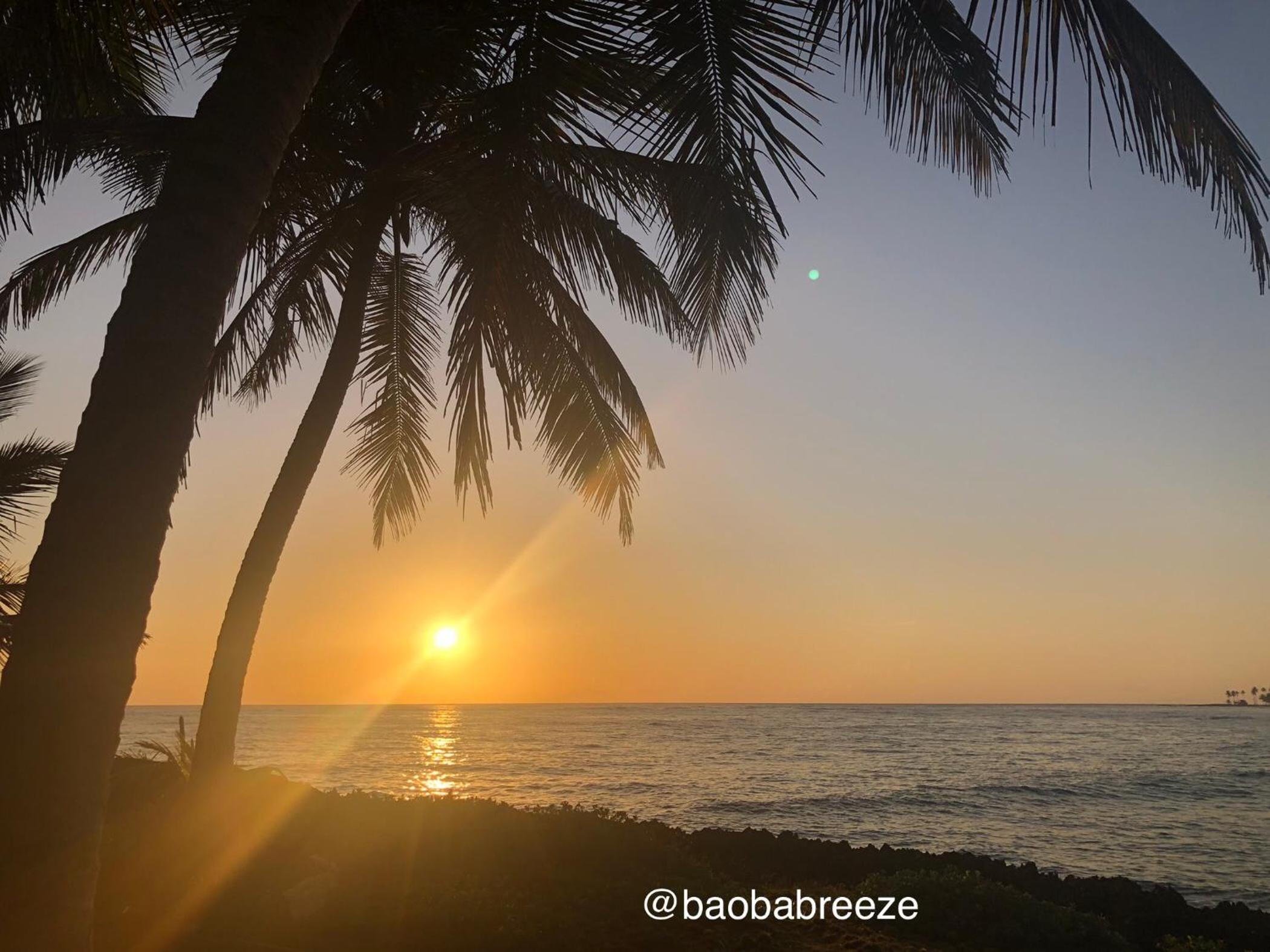 Baoba Breeze Bed & Breakfast- beachfront paradise
