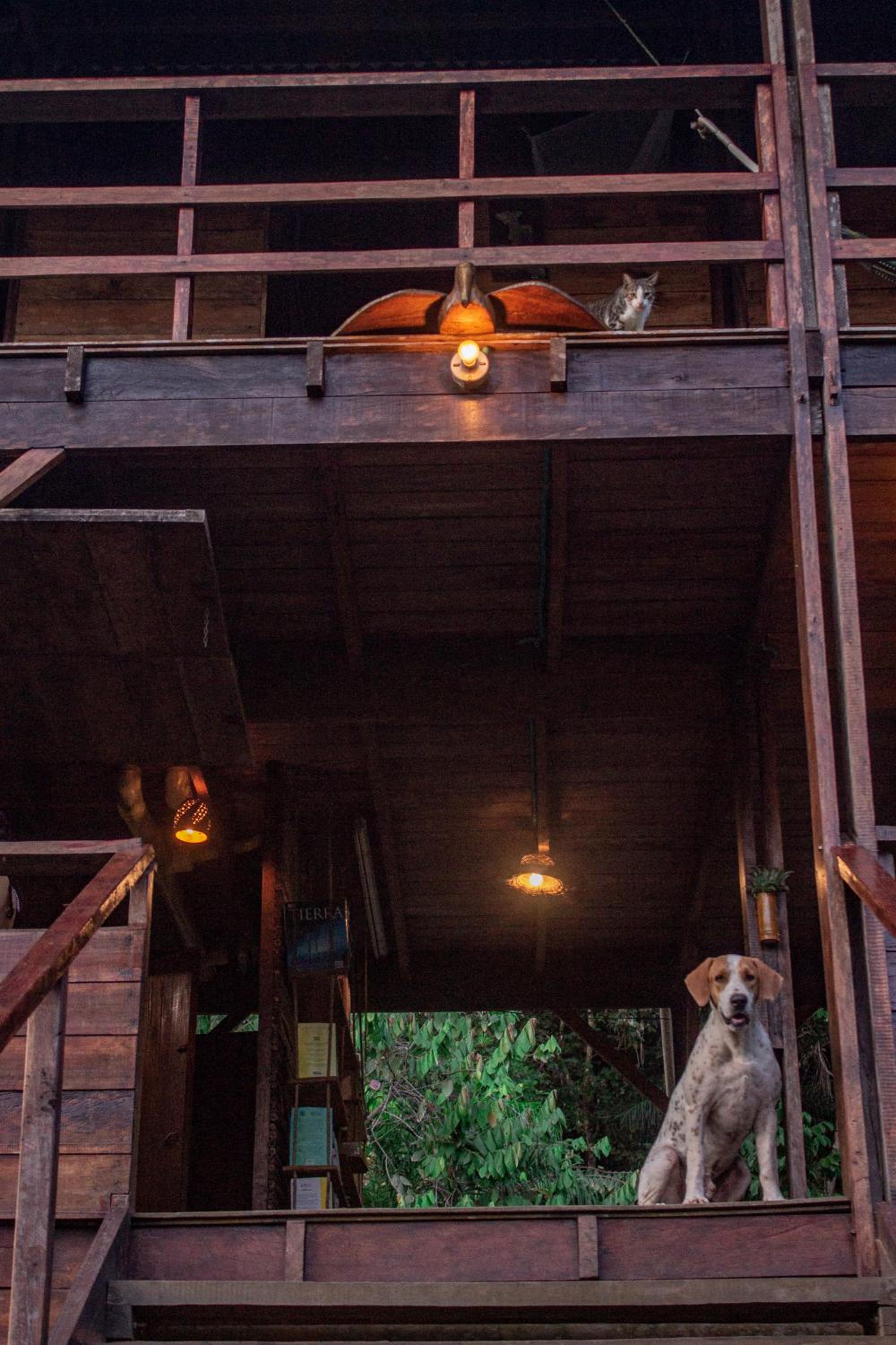 The Pelican House Hostel