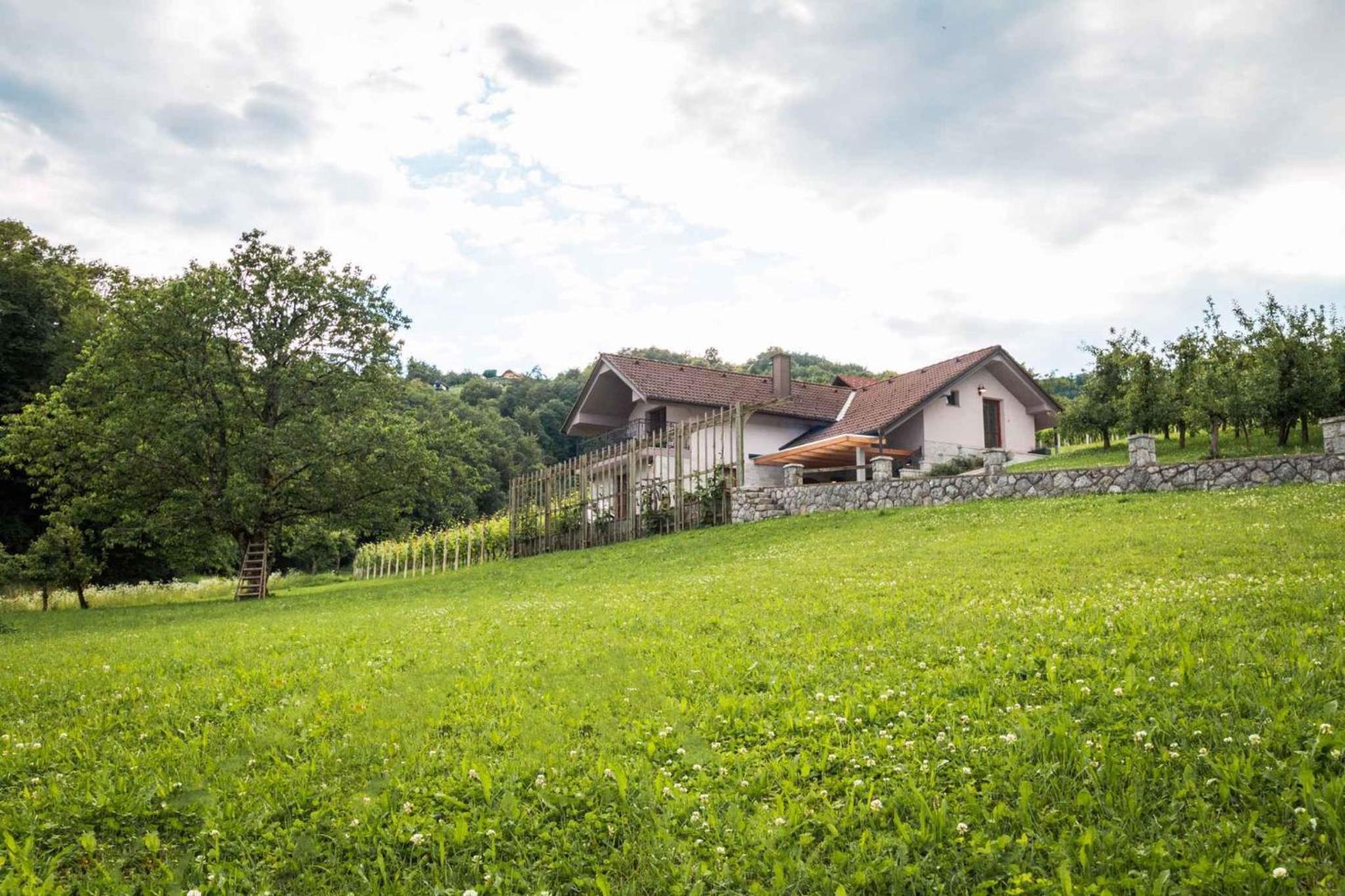 Holiday home in Smarjeske Toplice Kranjska Krain 42904 view 2