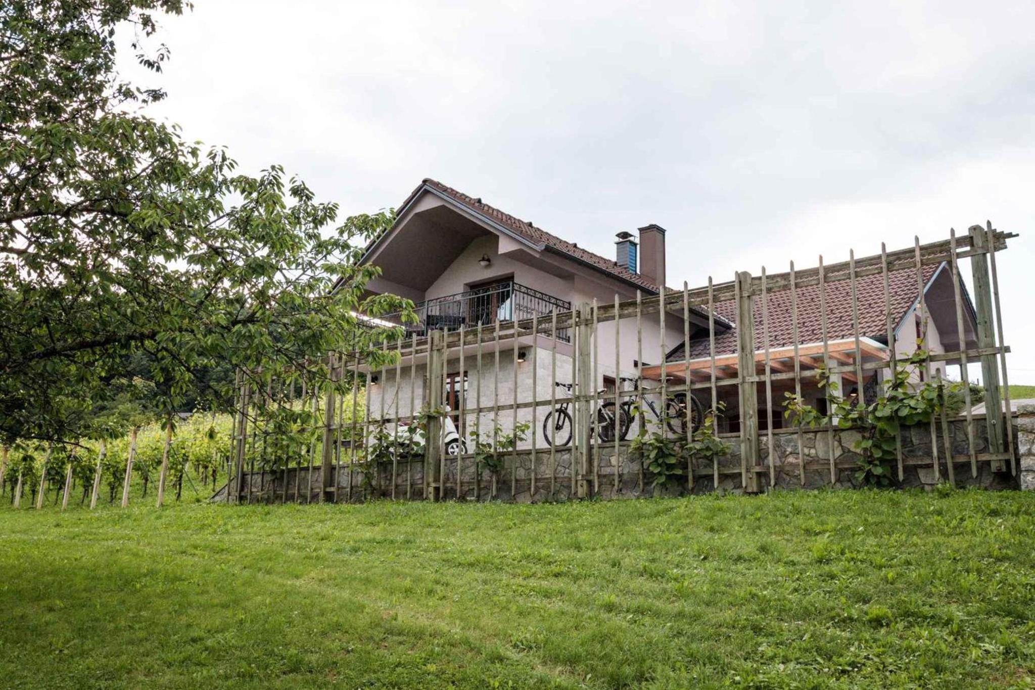 Holiday home in Smarjeske Toplice Kranjska Krain 42904 view 4