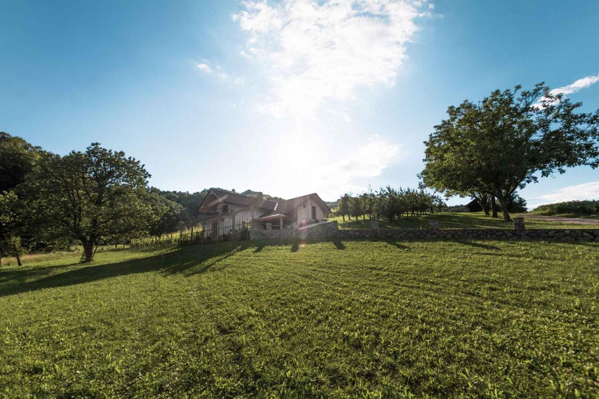 Holiday home in Smarjeske Toplice Kranjska Krain 42904 view 5