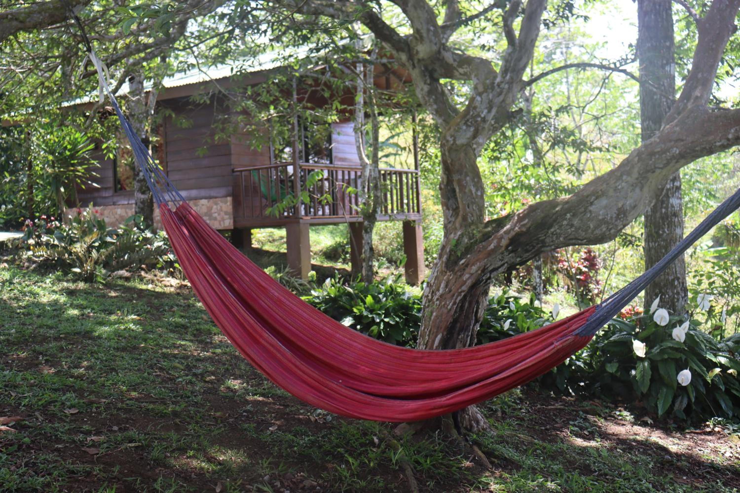 Eco Granja Don Lolo