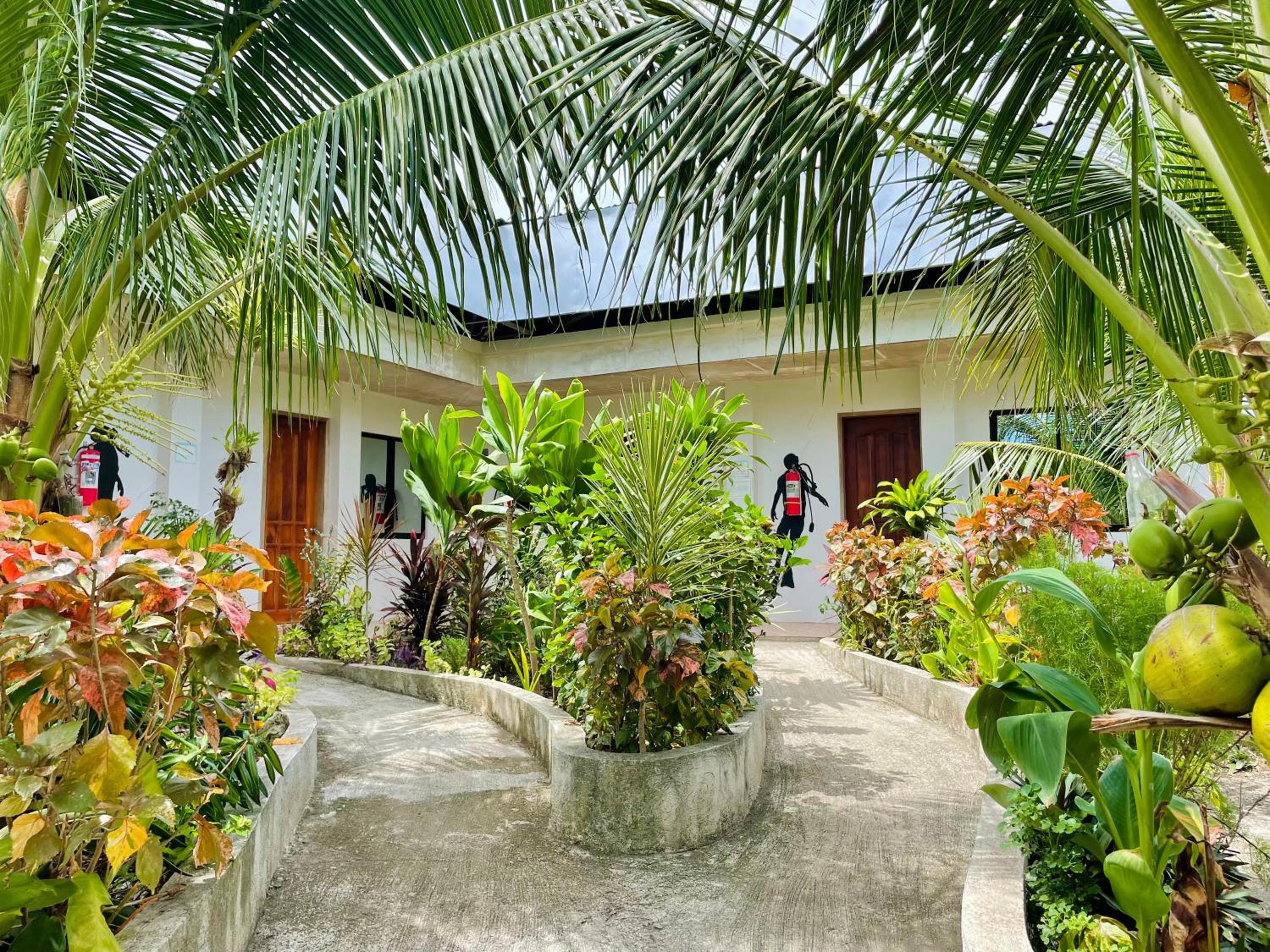 Ananas Guesthouse view 4