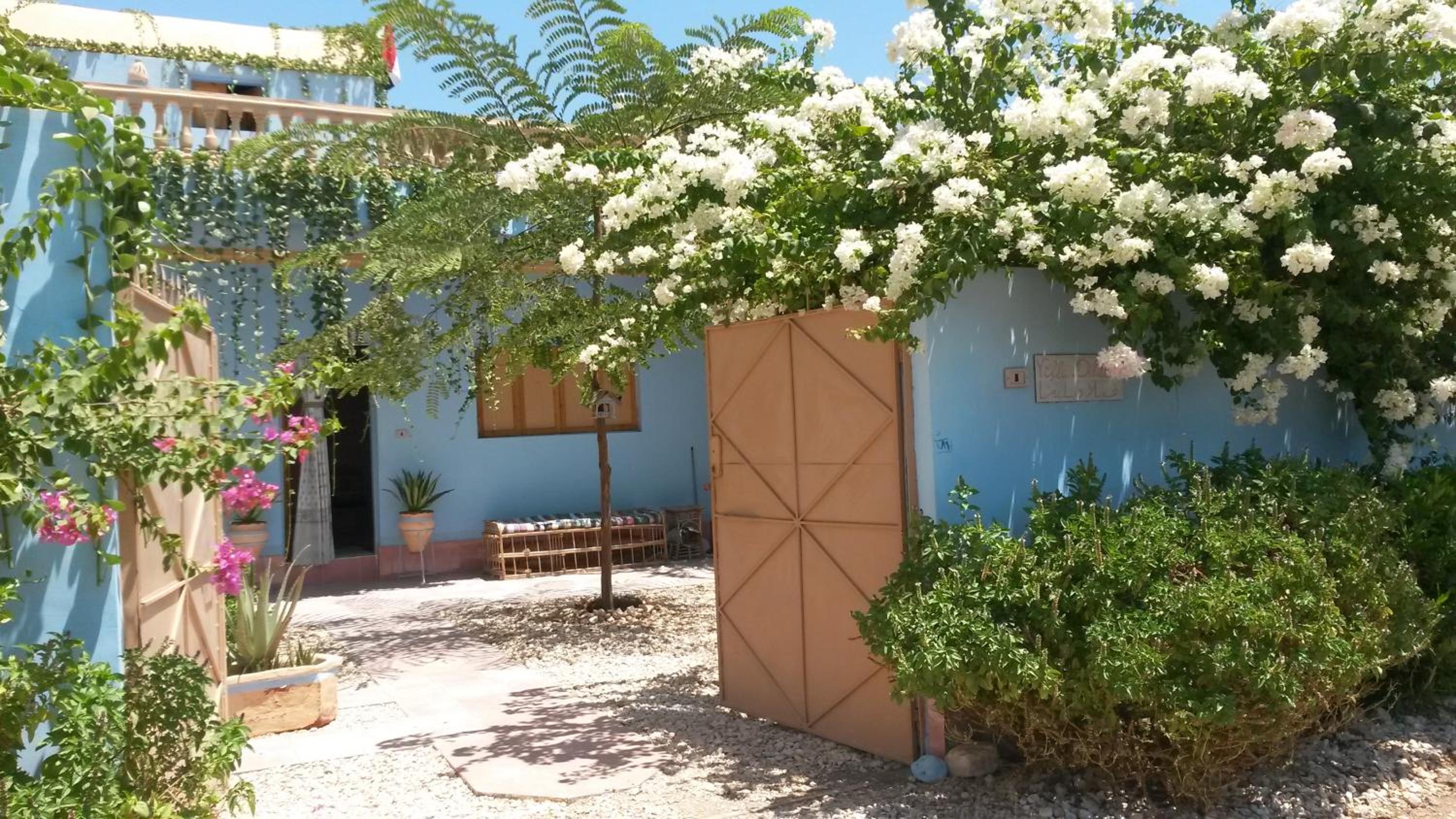 Photo 18