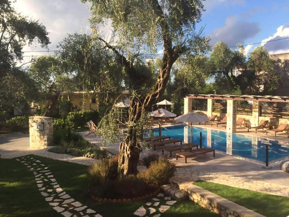 Vassilis Guest House, photo 18