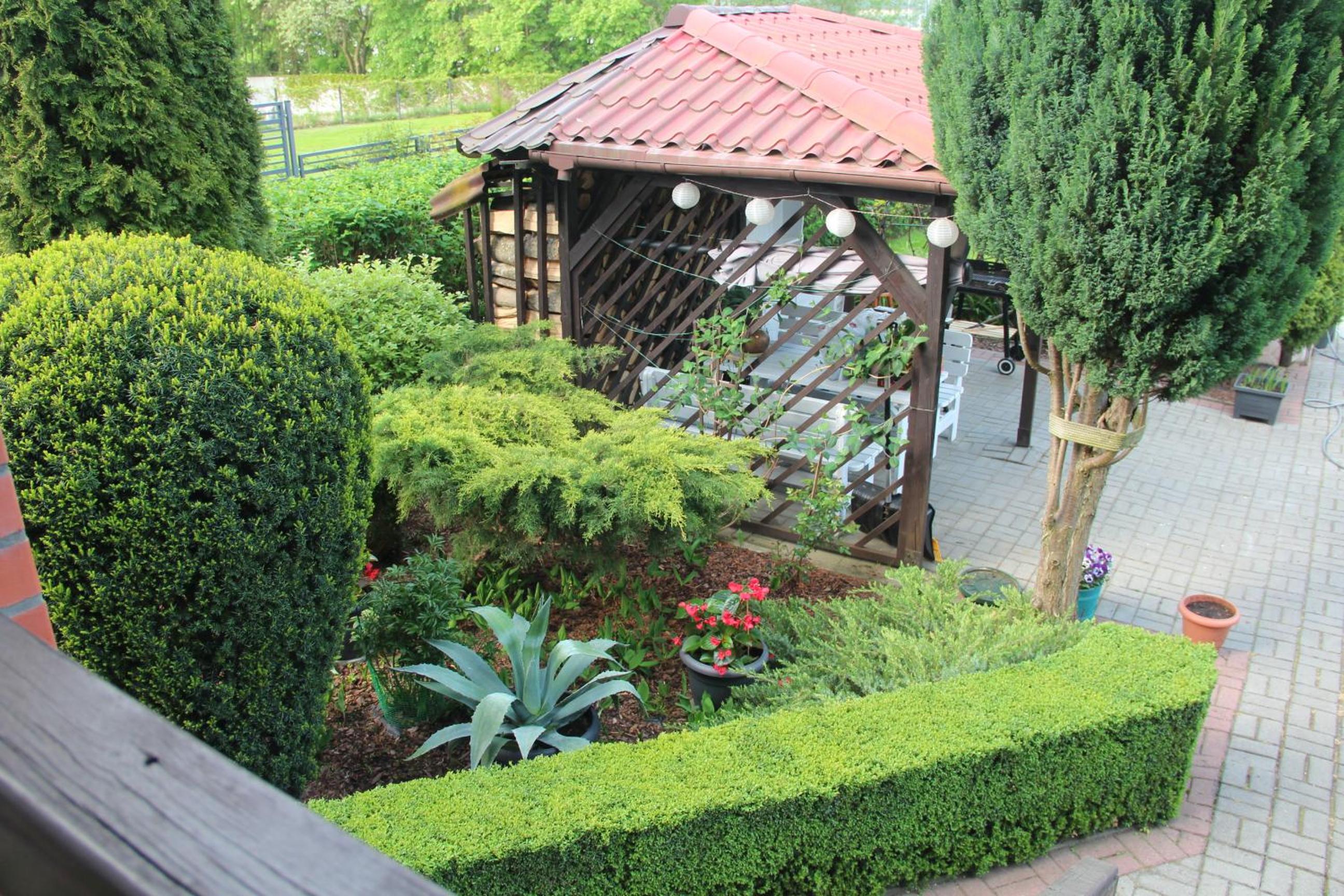 Photo 12