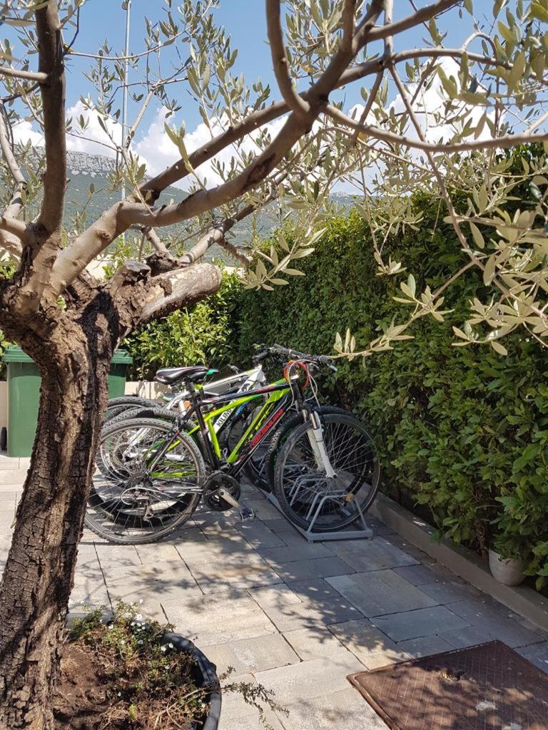 Apartmani Ana, photo 24