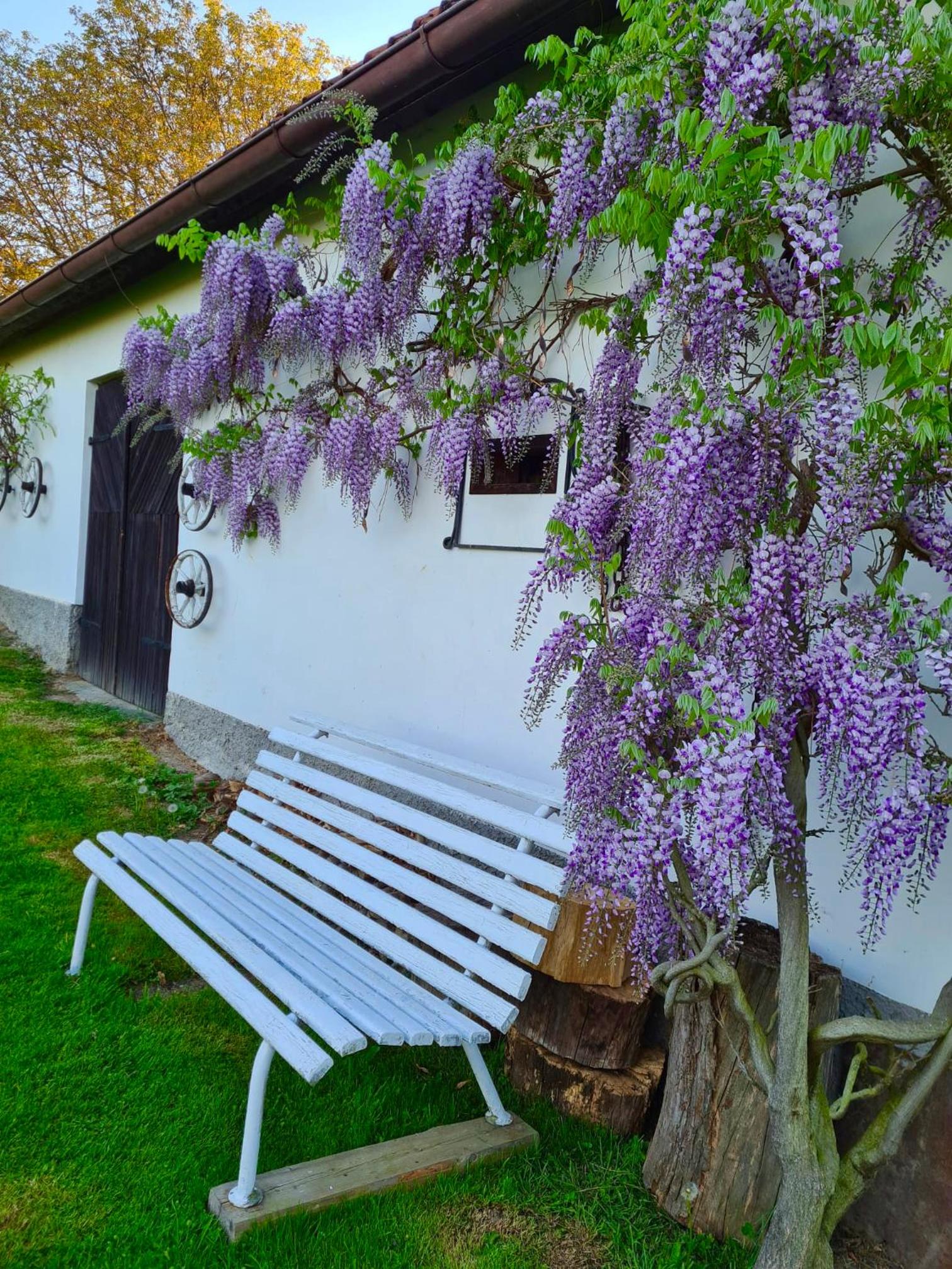 Venkovská usedlost Horšice