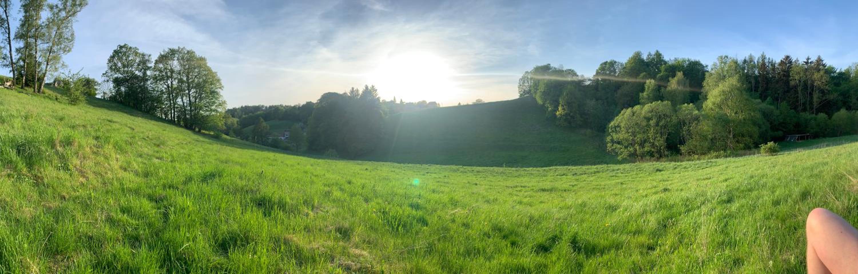 Photo 52
