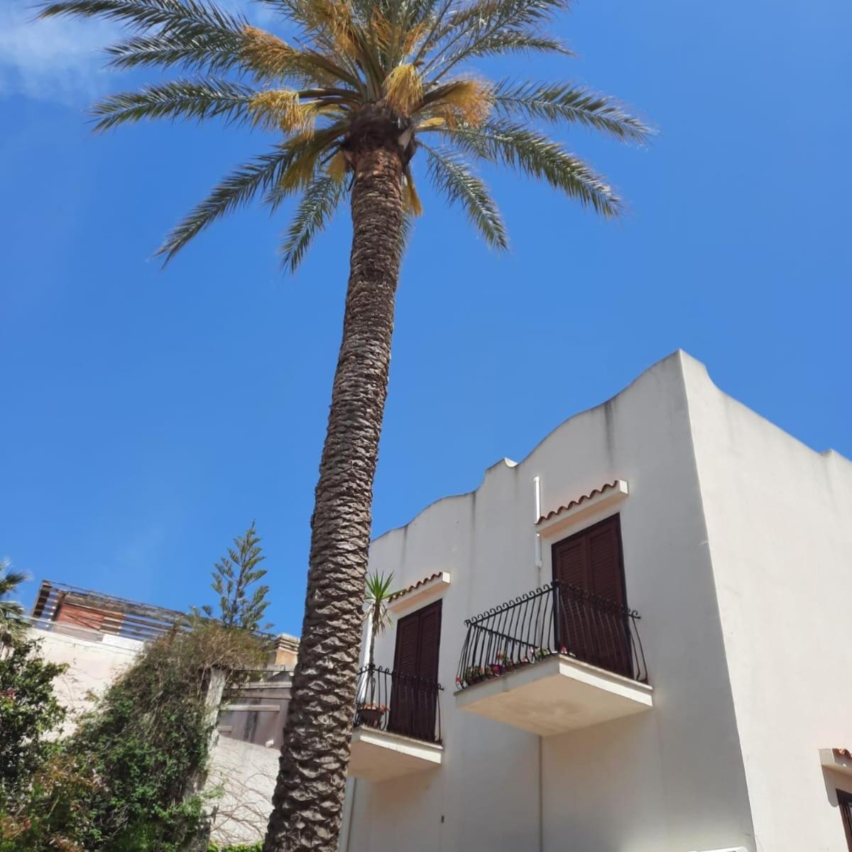 Casa Vacanza LA PALMA SELINUNTE CASTELVETRANO TP SICILIA view 3