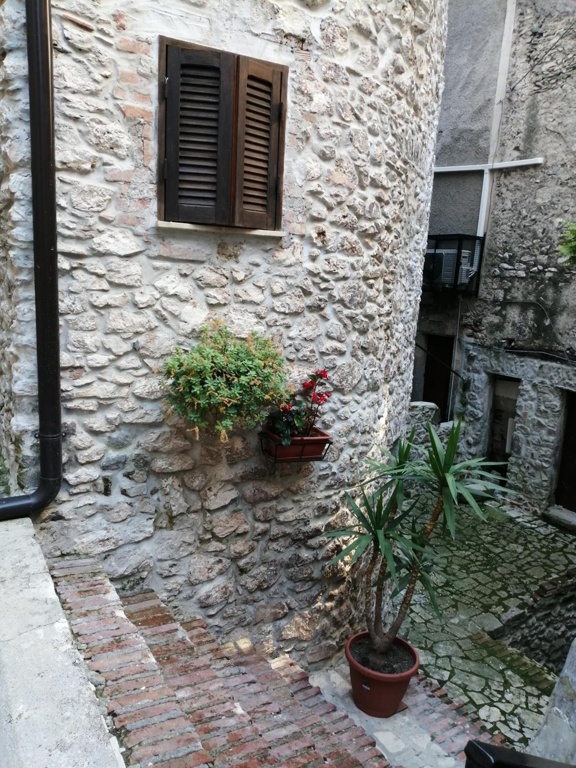 Photo 46