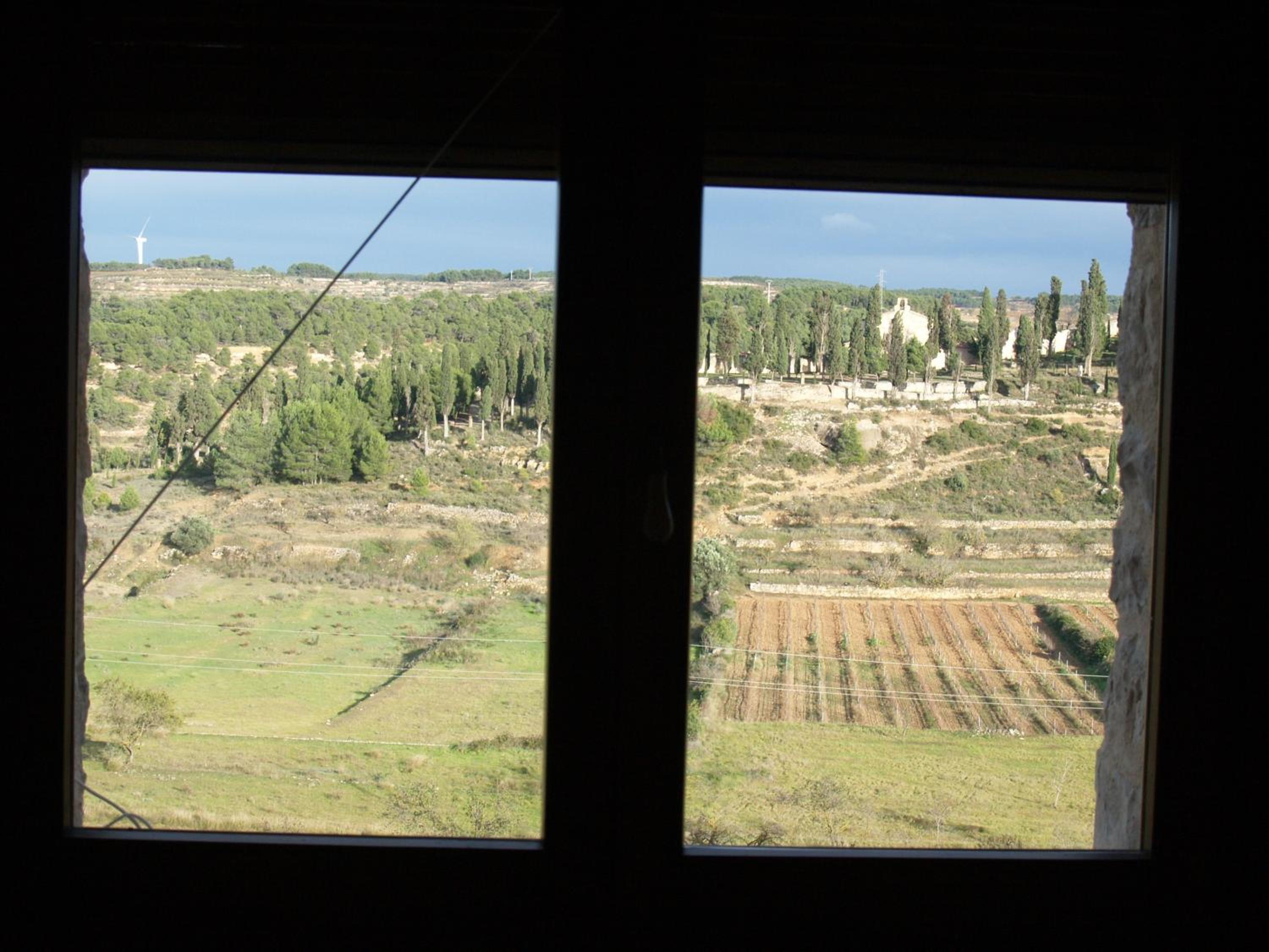 Photo 40