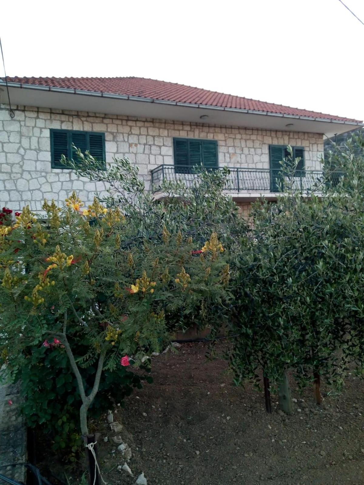 Apartman Maša view 2