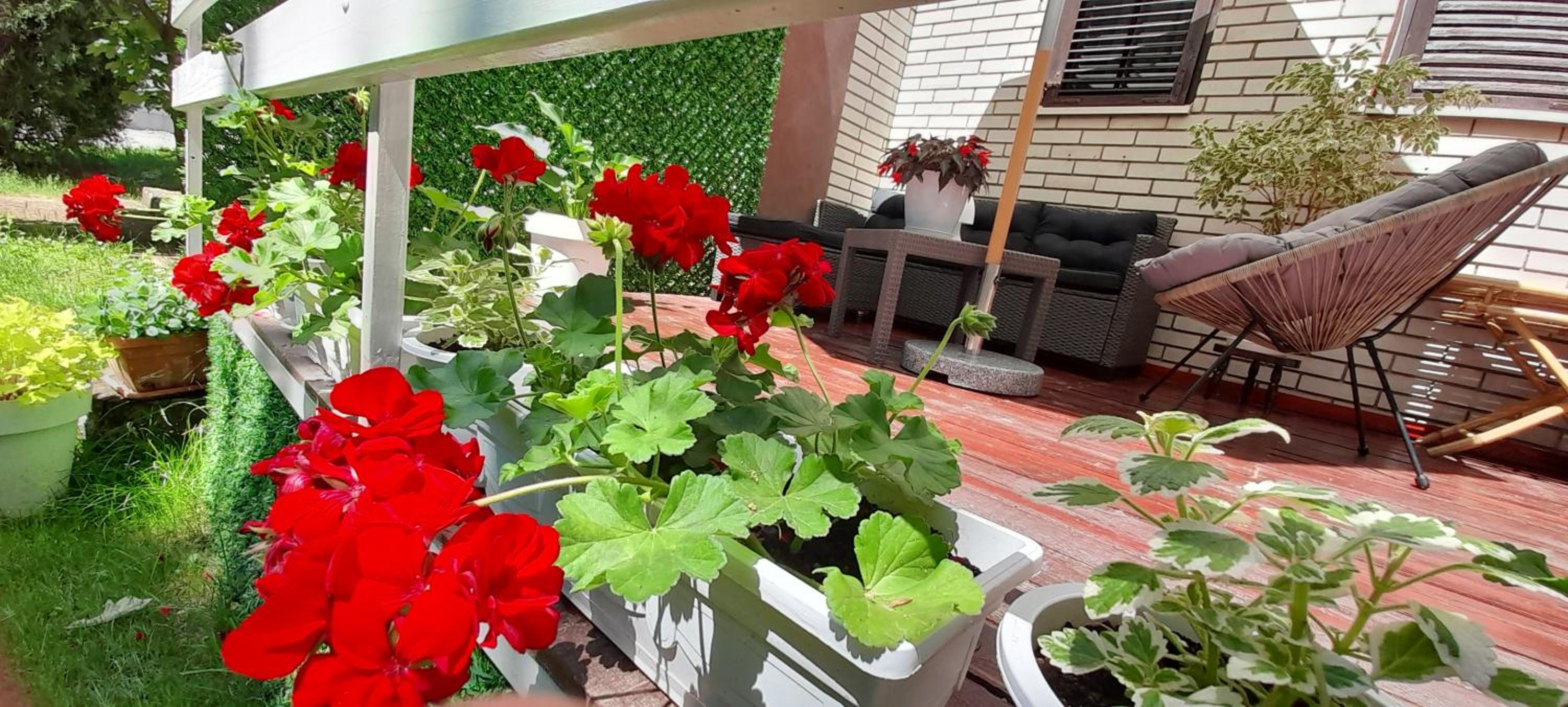 Apartman Djoana - dvosoban apartman u blizini Akva Parka Vrnjačke Terme