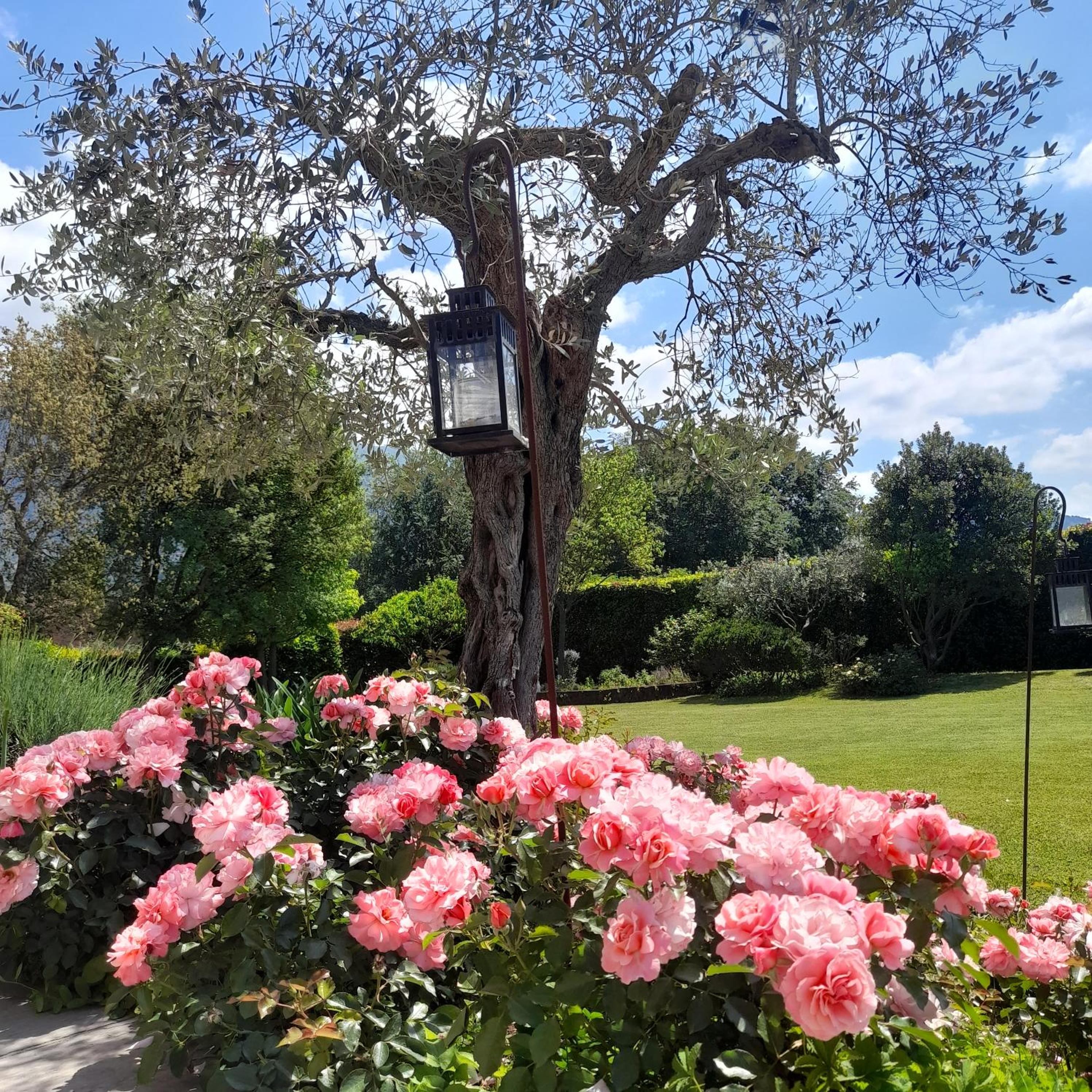 Villa la provenzale view 2