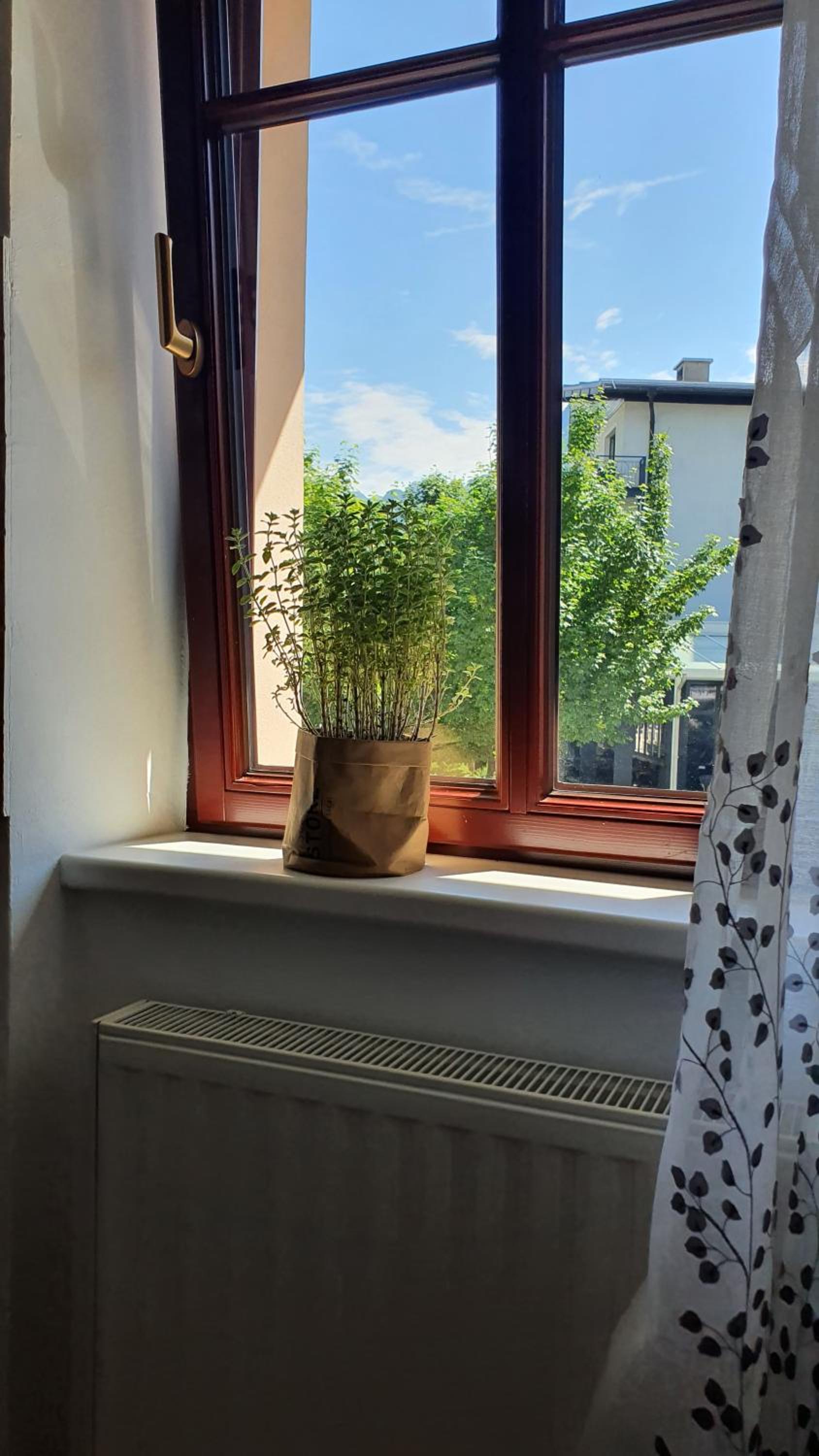 Apartma Bovec Center view 4