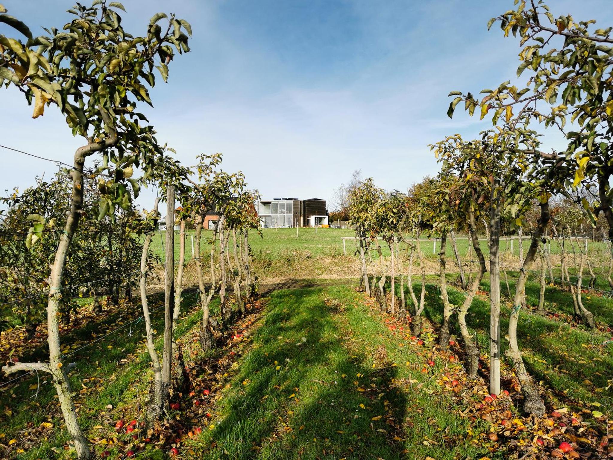 Hotel Huis van Hout - design eco lodge met panorama tuin en hot tub - Image 1