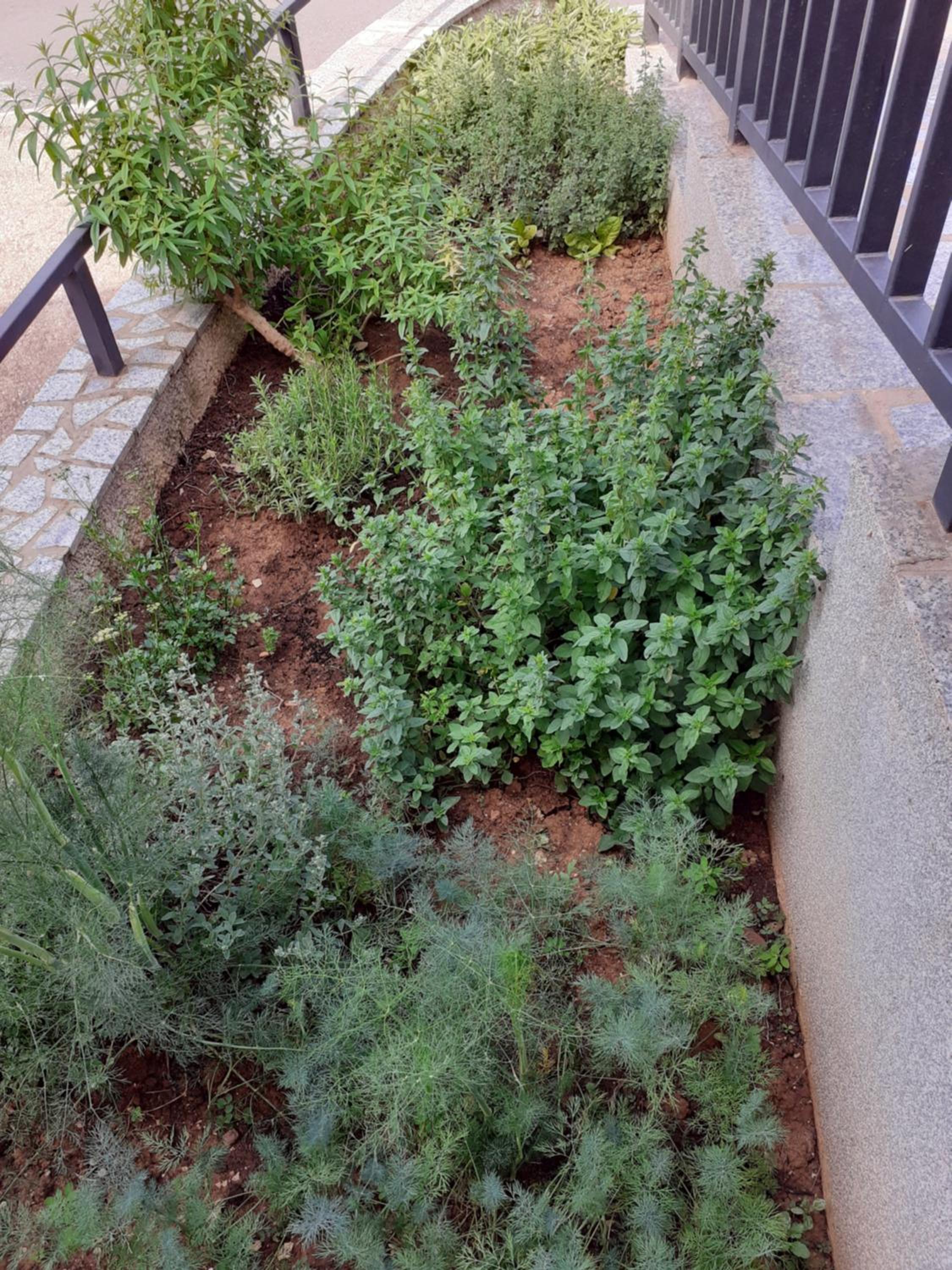 Photo 22