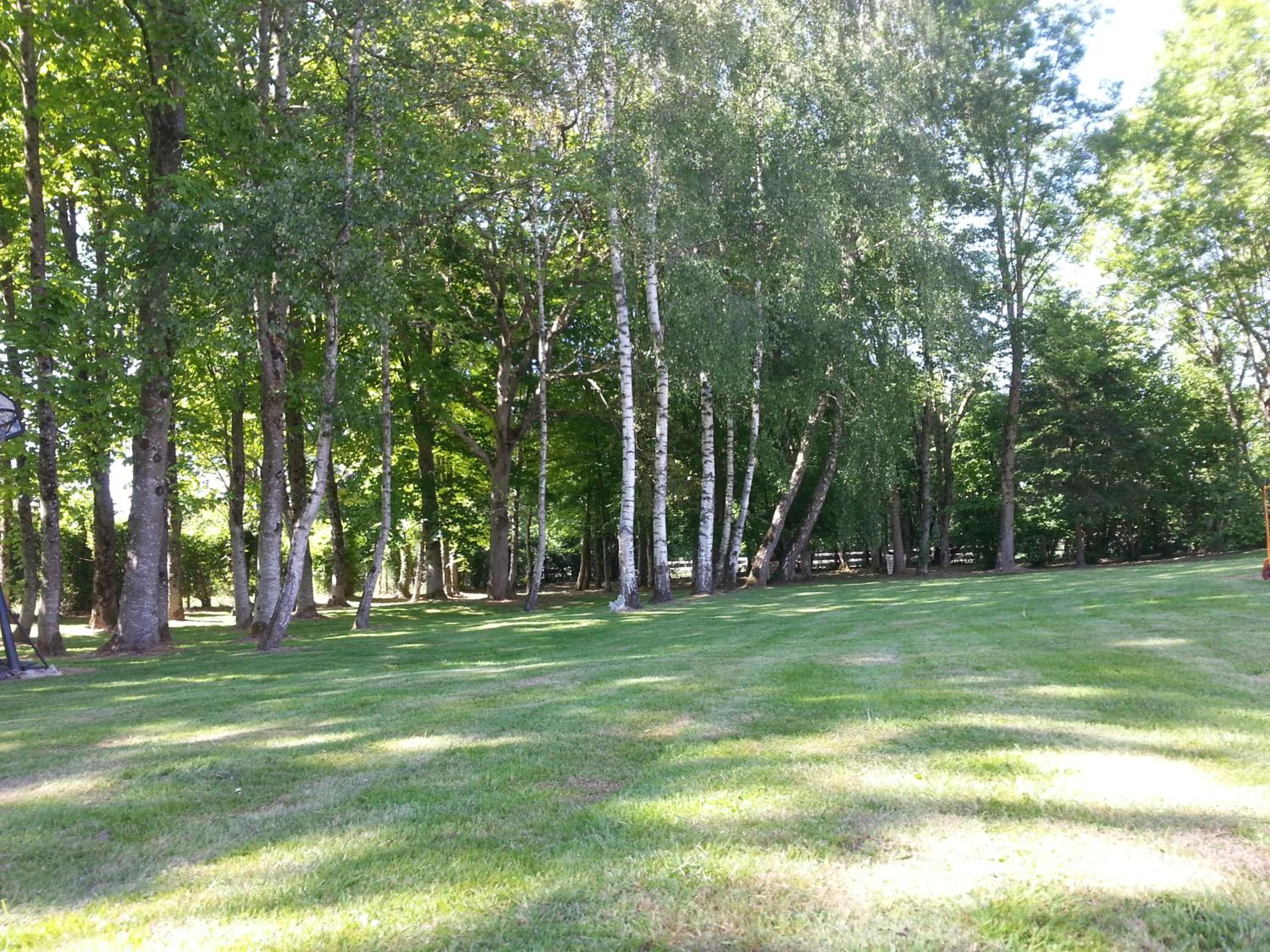 Photo 37