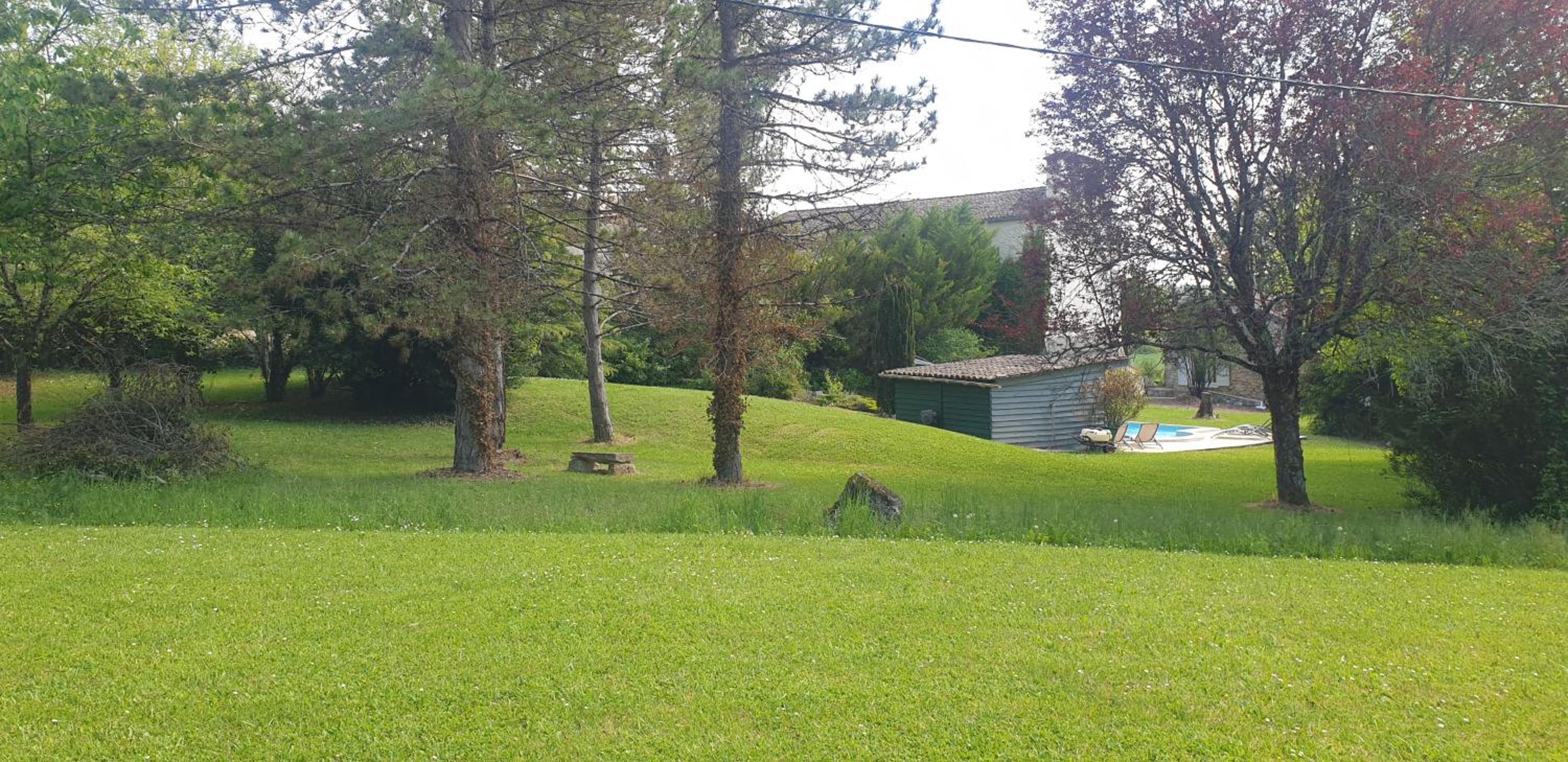 Photo 11