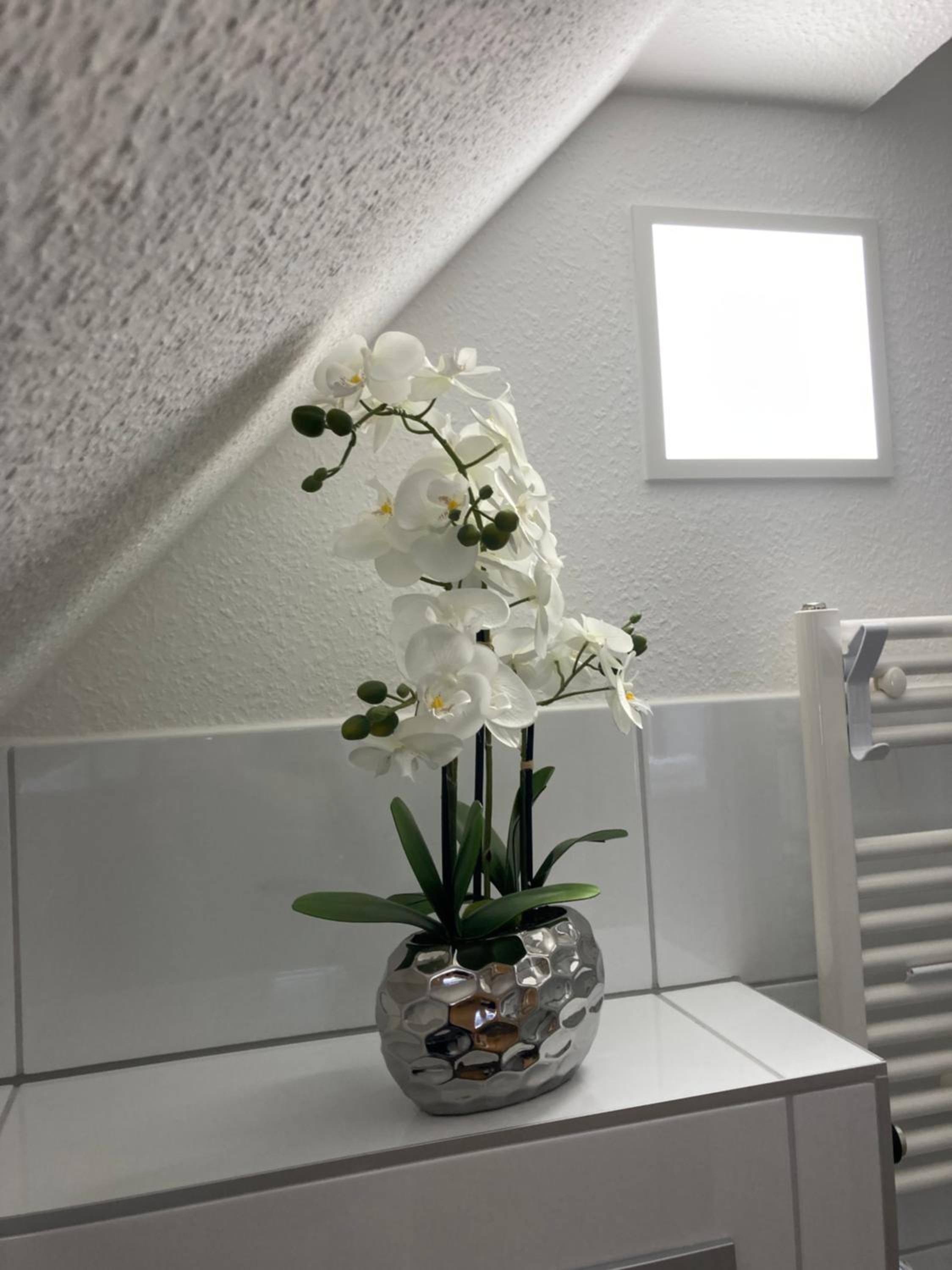 Appartement 6 ARA