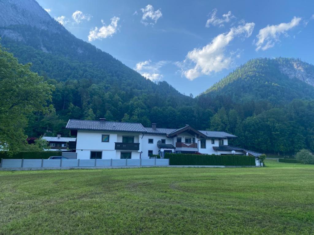 Apartment in der Au