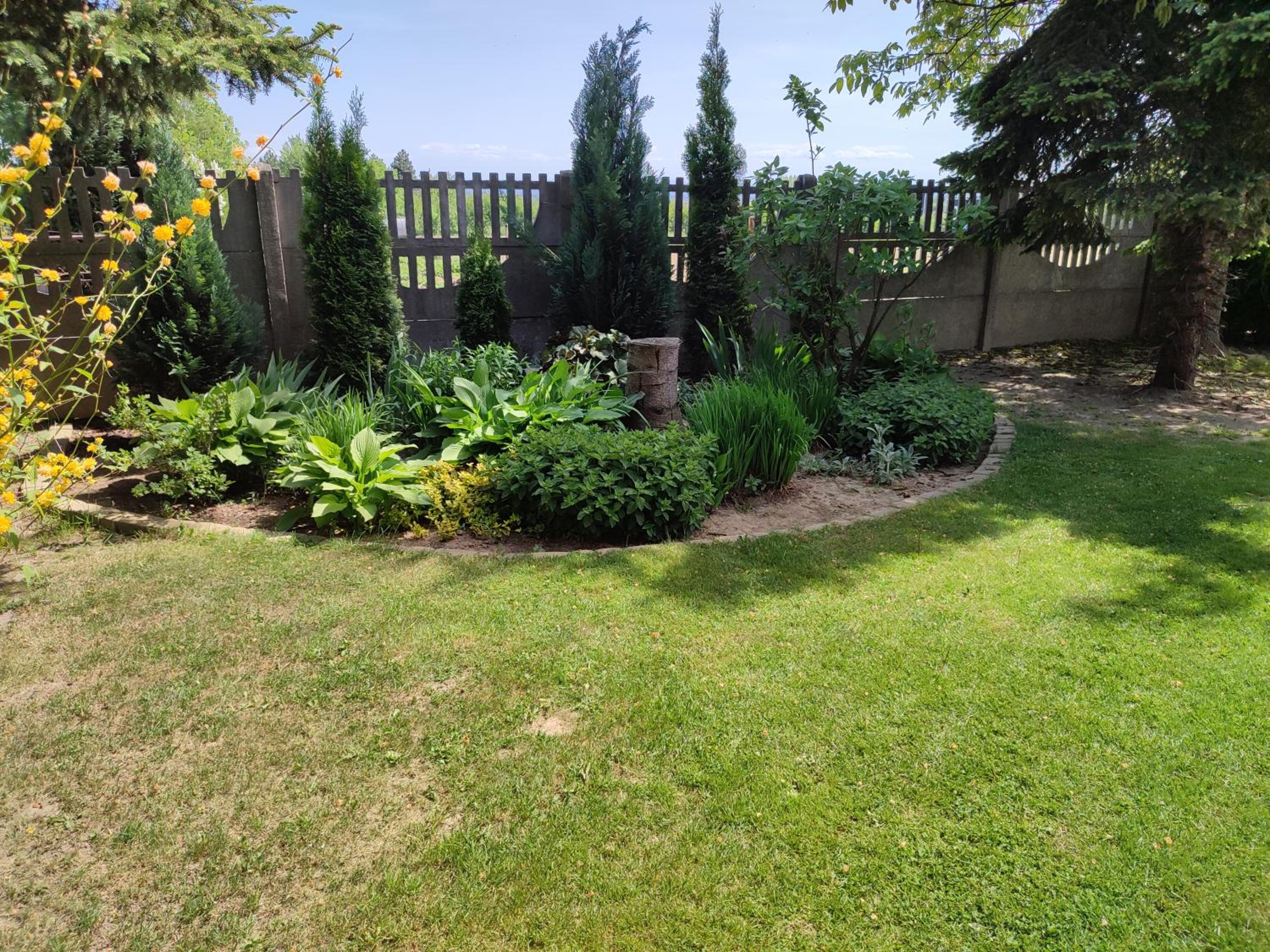 Photo 40