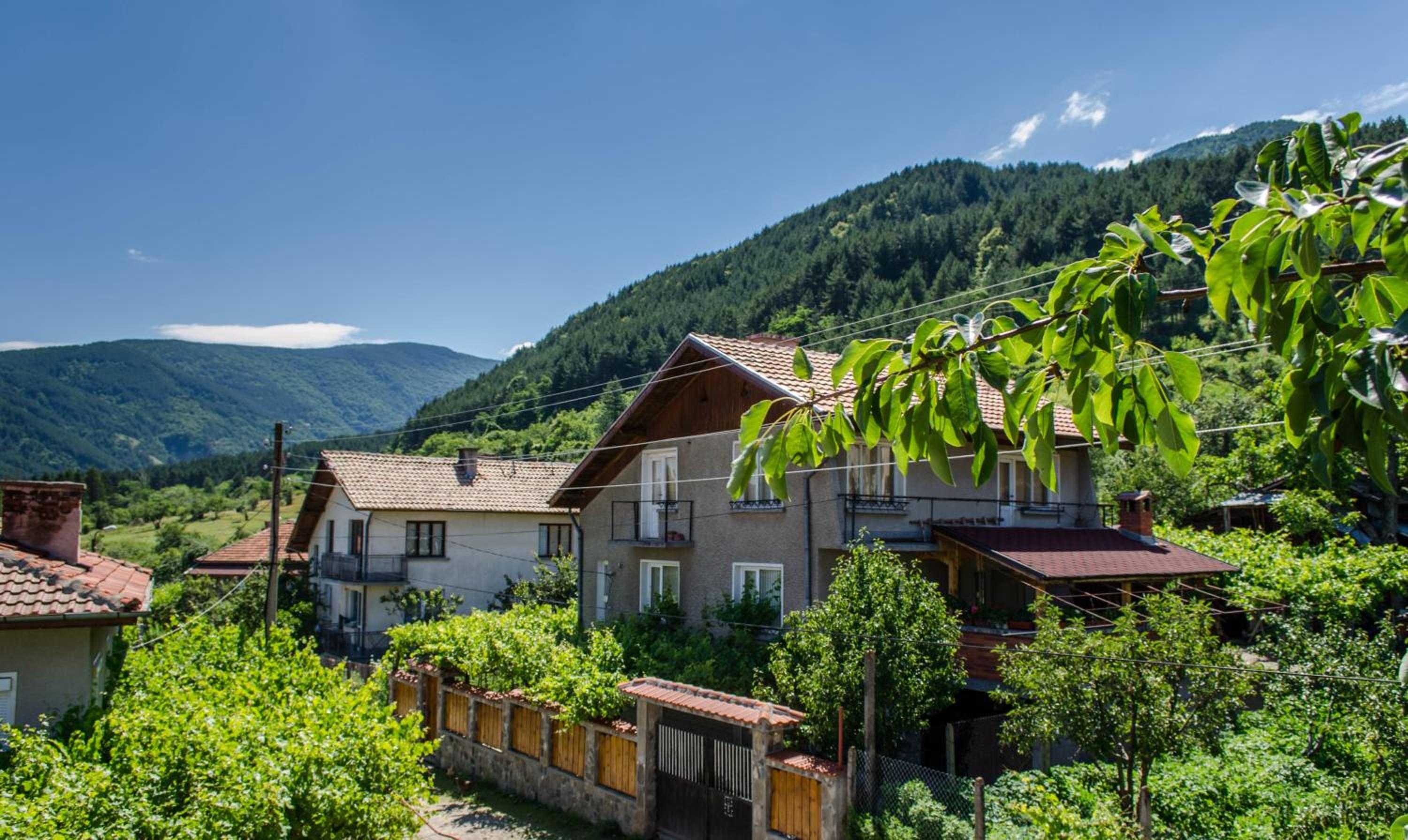Dariya Guest House