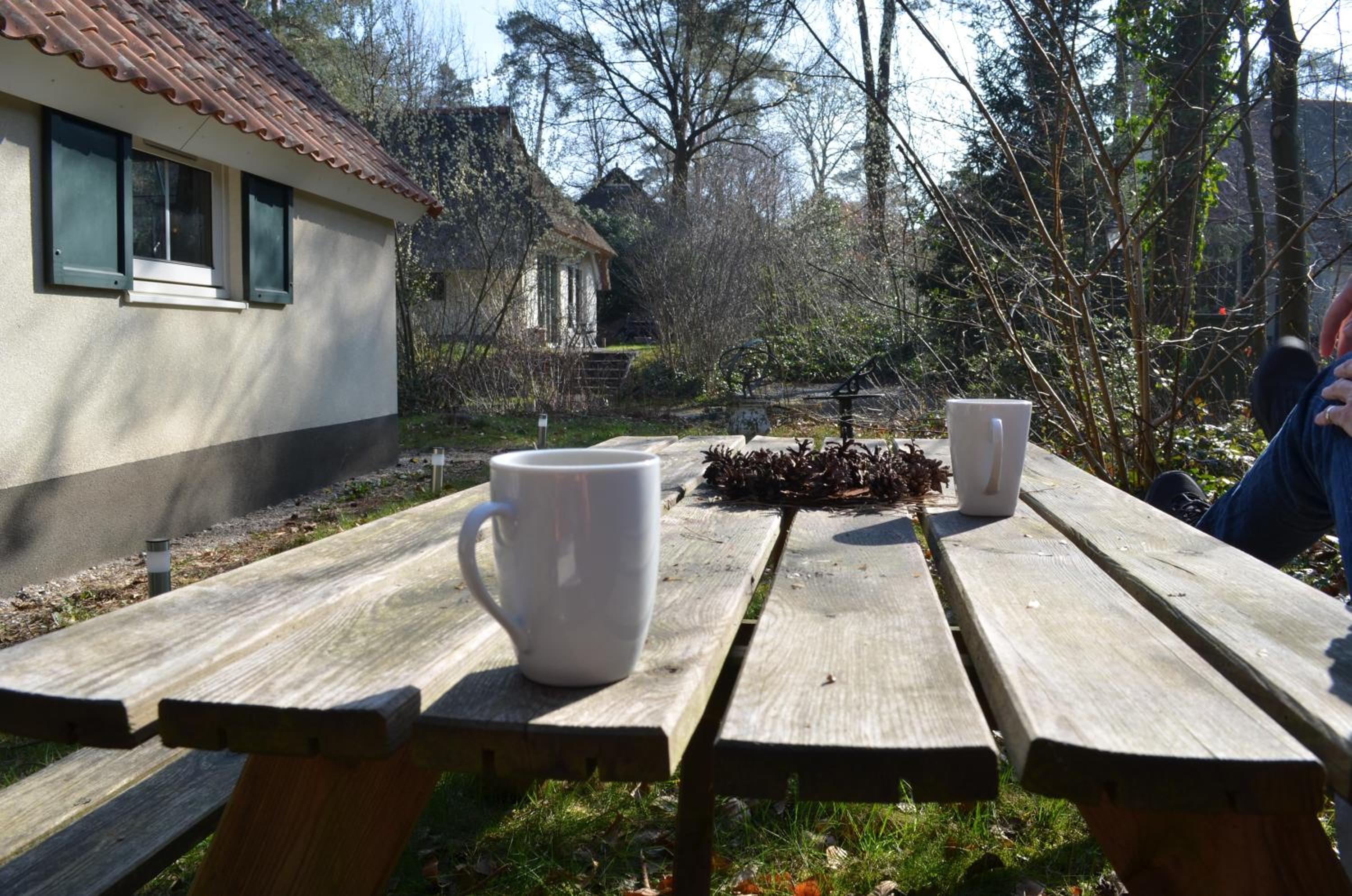 wittebergen25