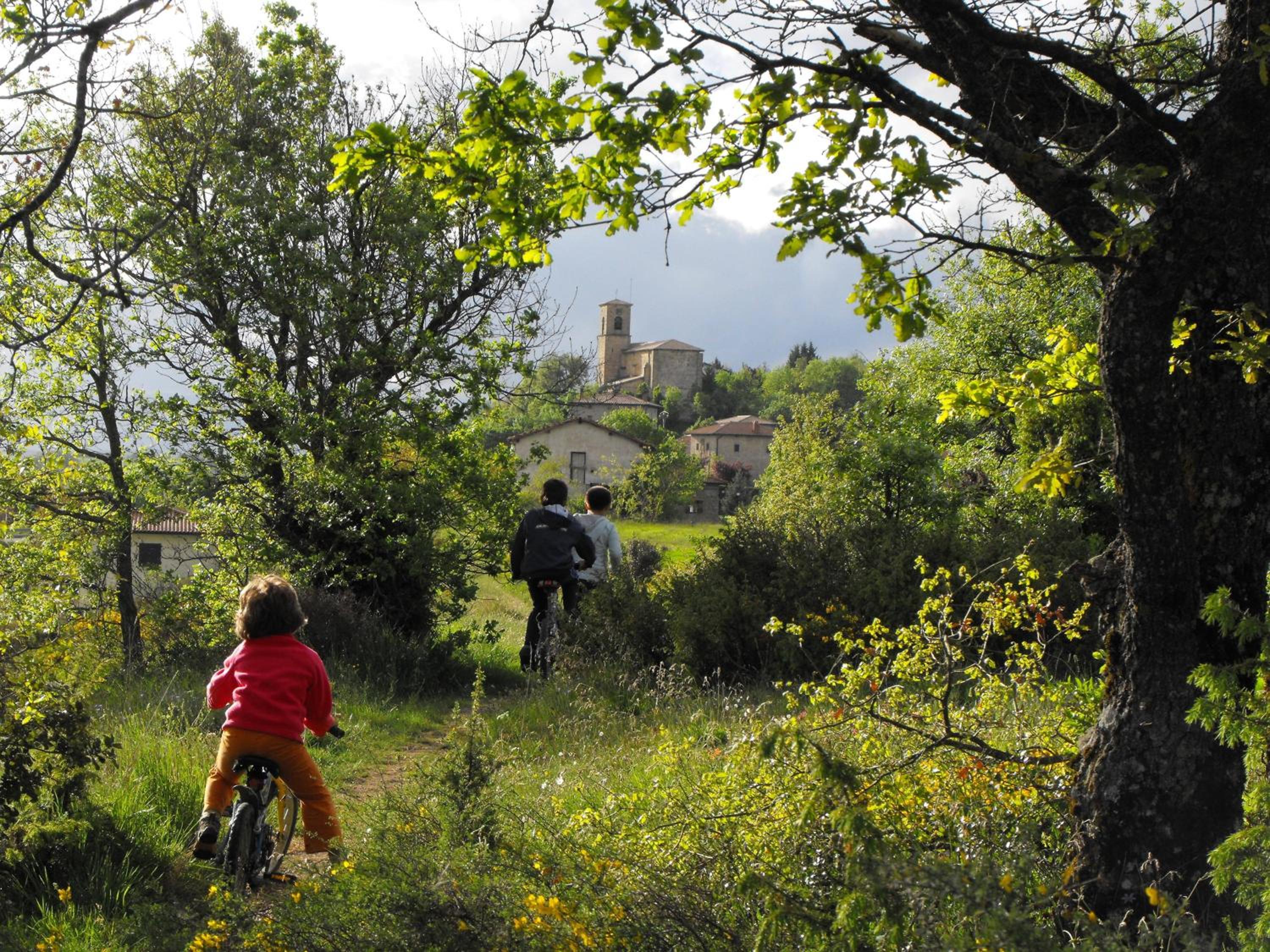 Agroturismo La Casa Vieja