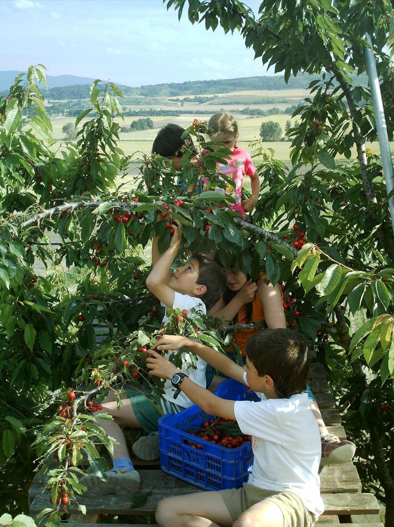 Agroturismo La Casa Vieja