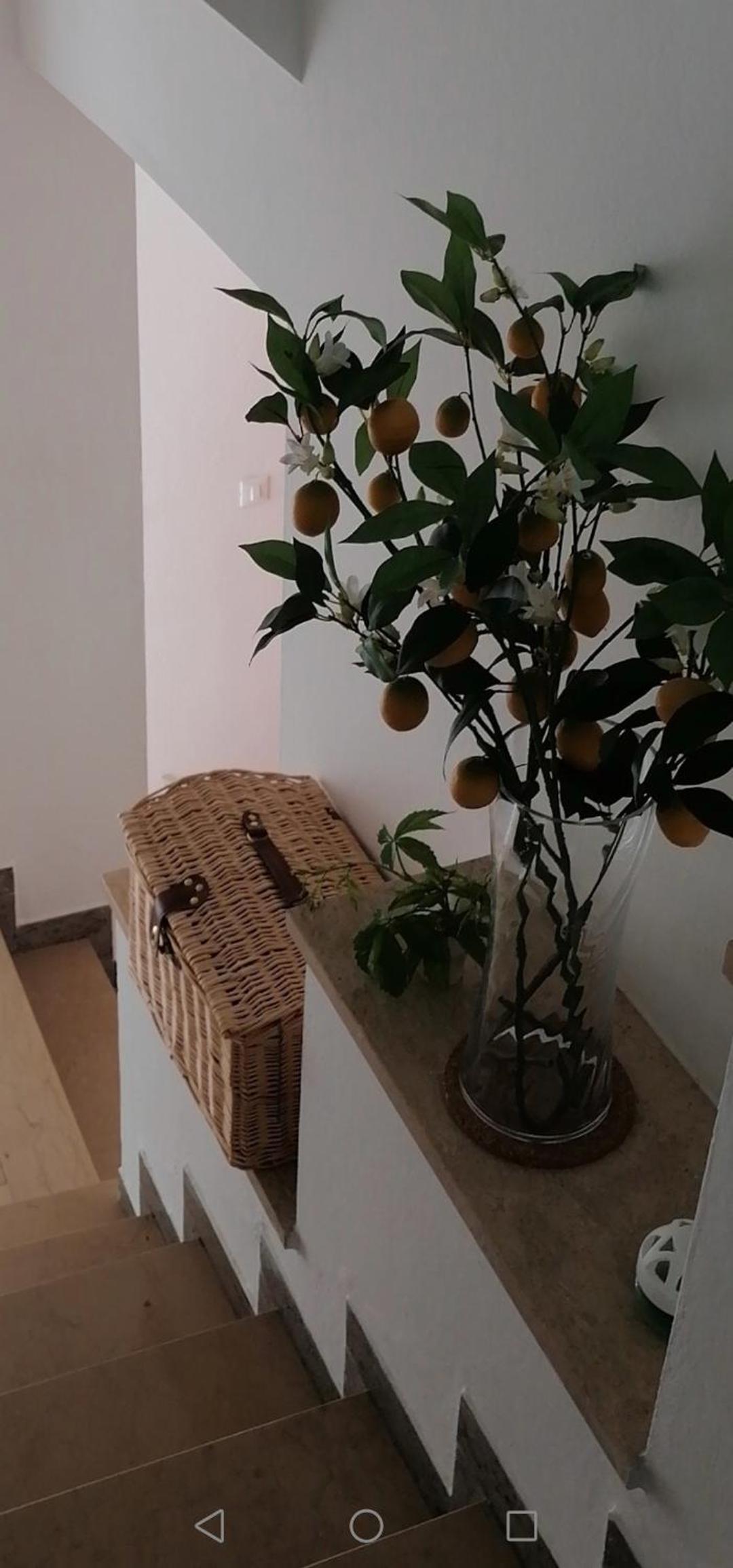 B&B RINGAT en Mori — other
