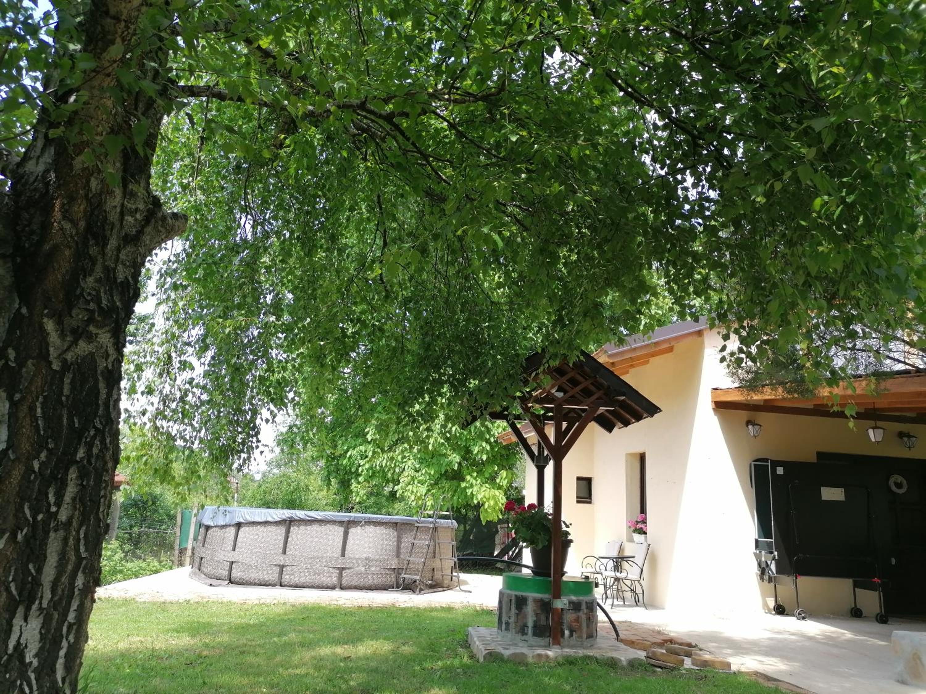 Photo 46