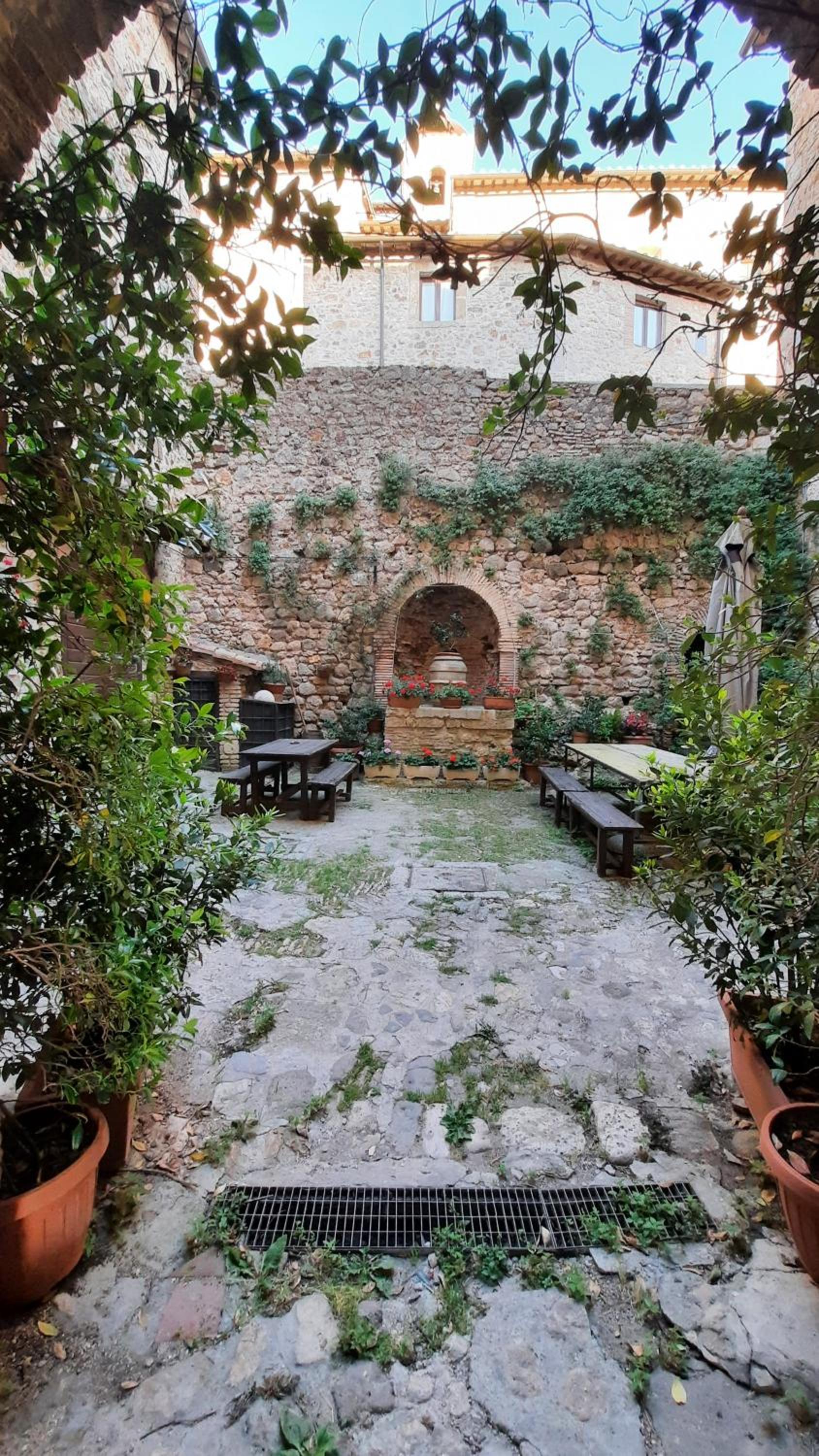 Photo 25
