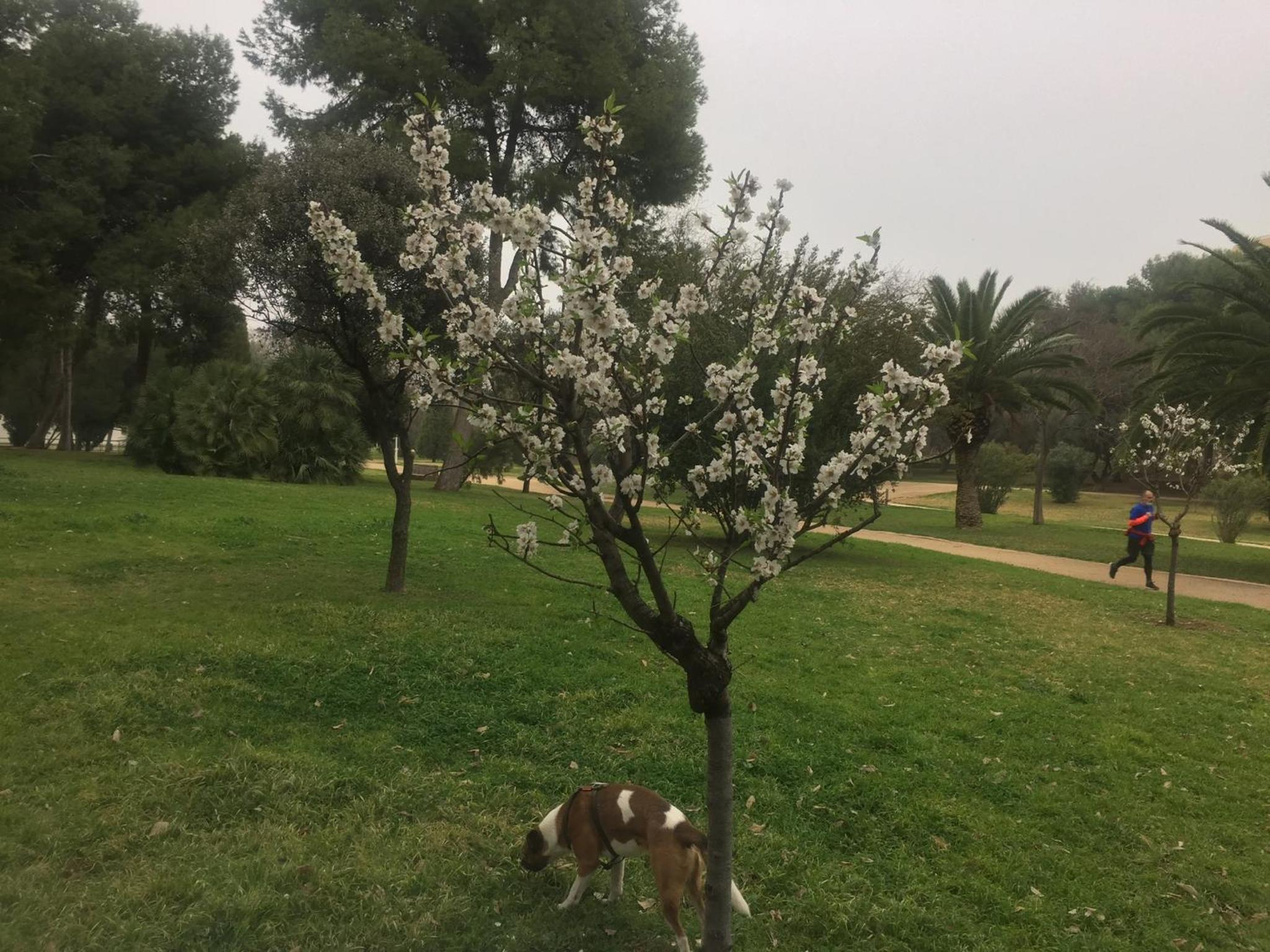 Photo 37