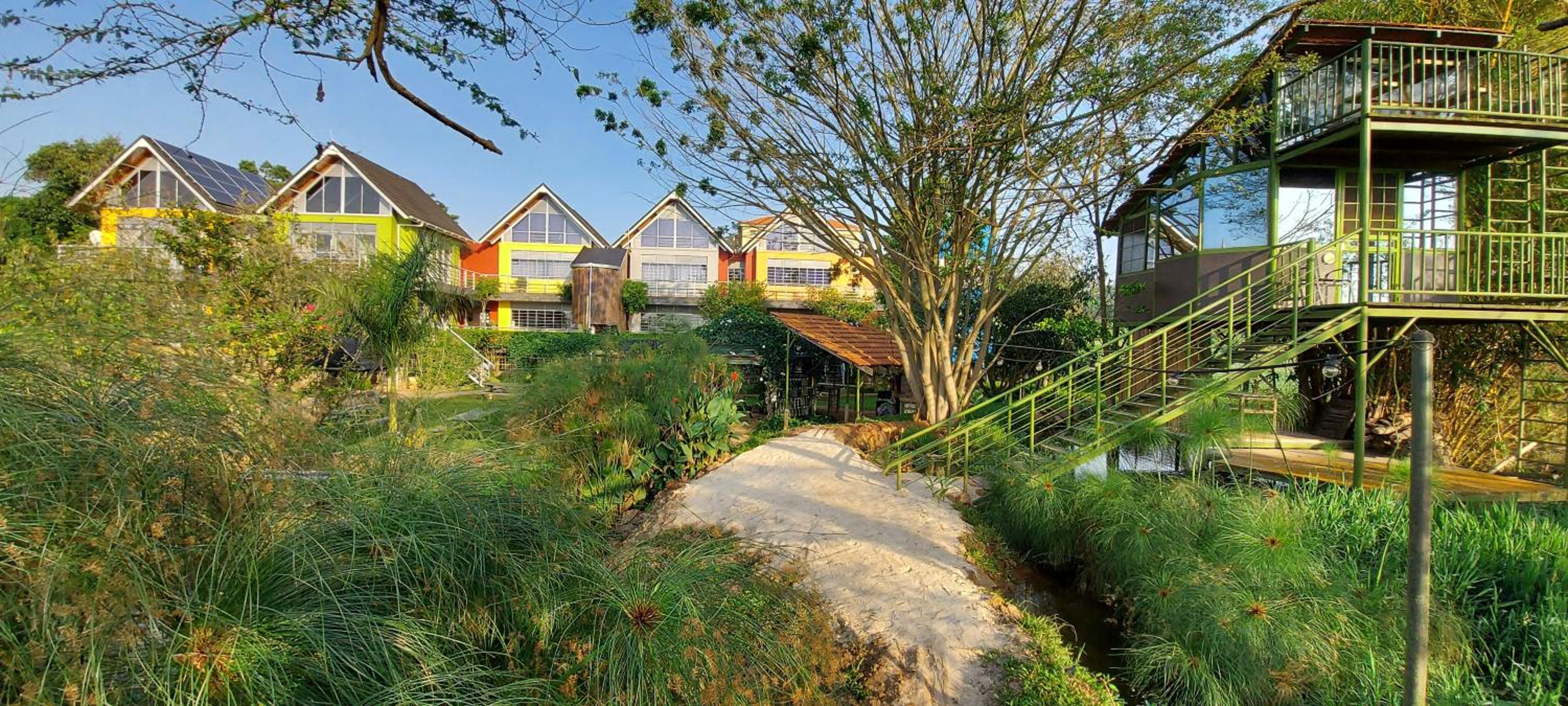 Yellow Haven Lodge