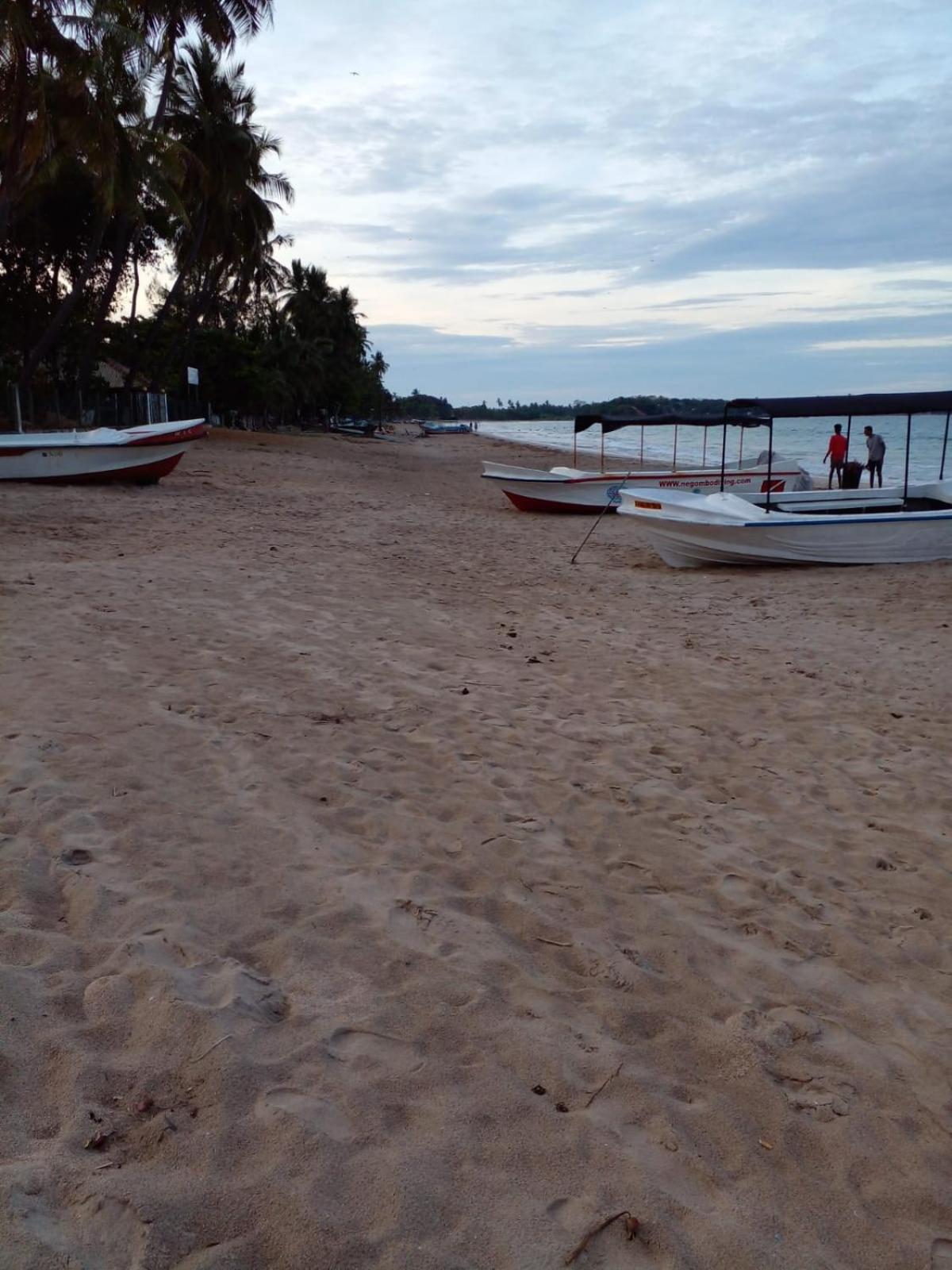Photo 47